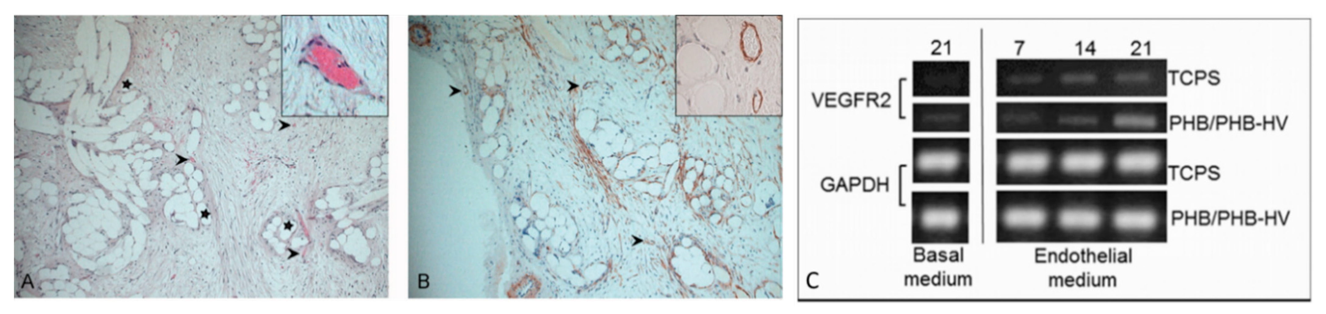 Biomolecules 11 01731 g011