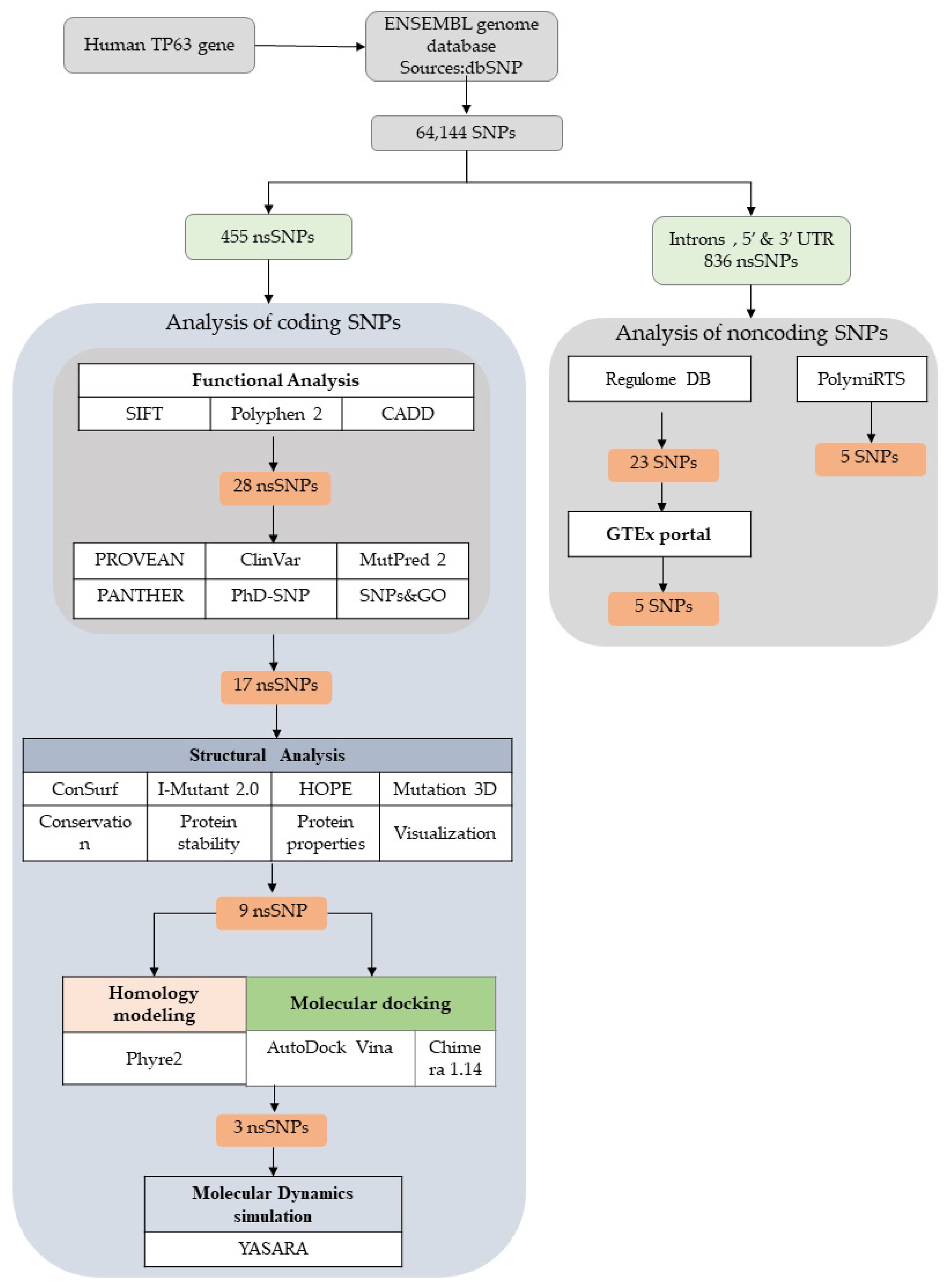 Biomolecules 11 01733 g001