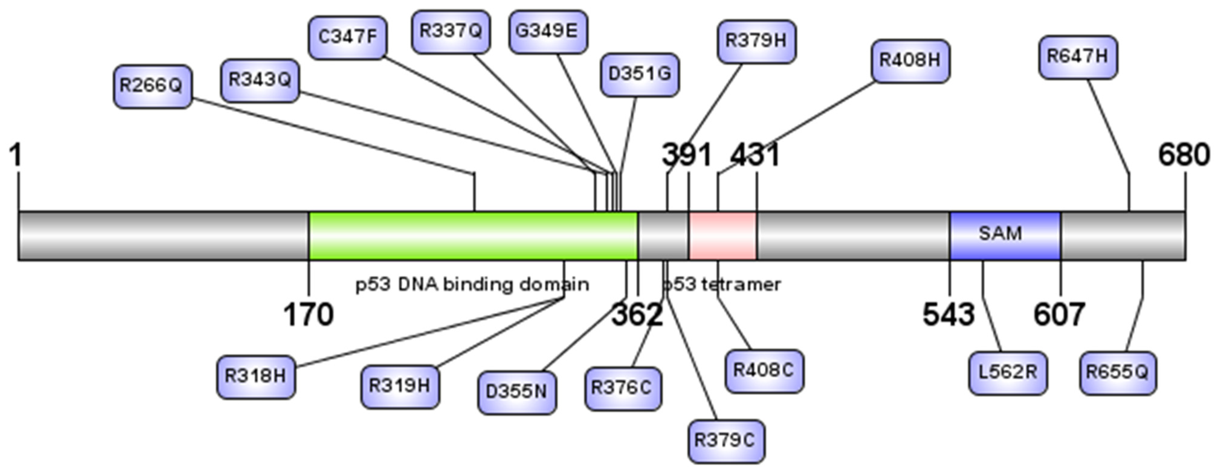 Biomolecules 11 01733 g003