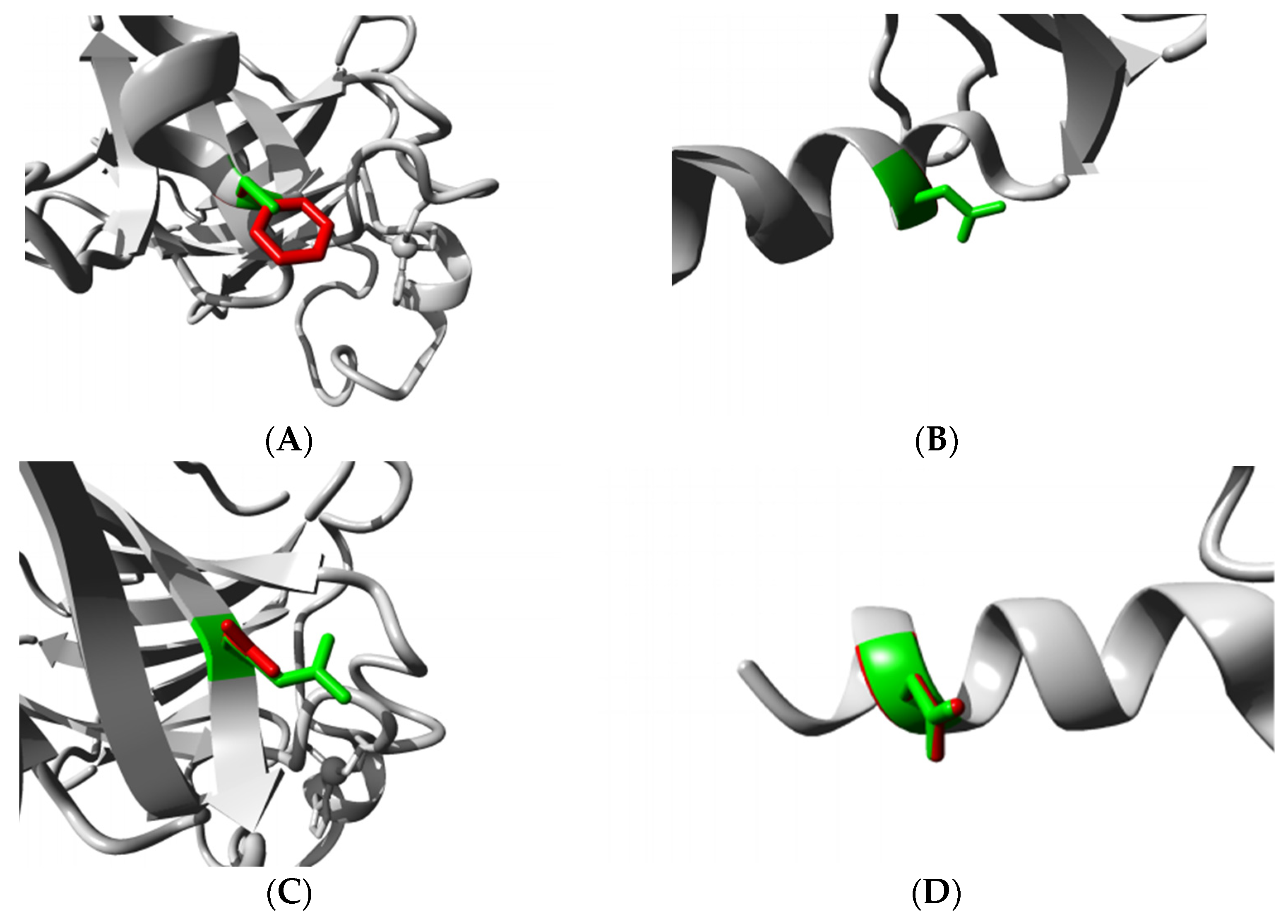 Biomolecules 11 01733 g005a