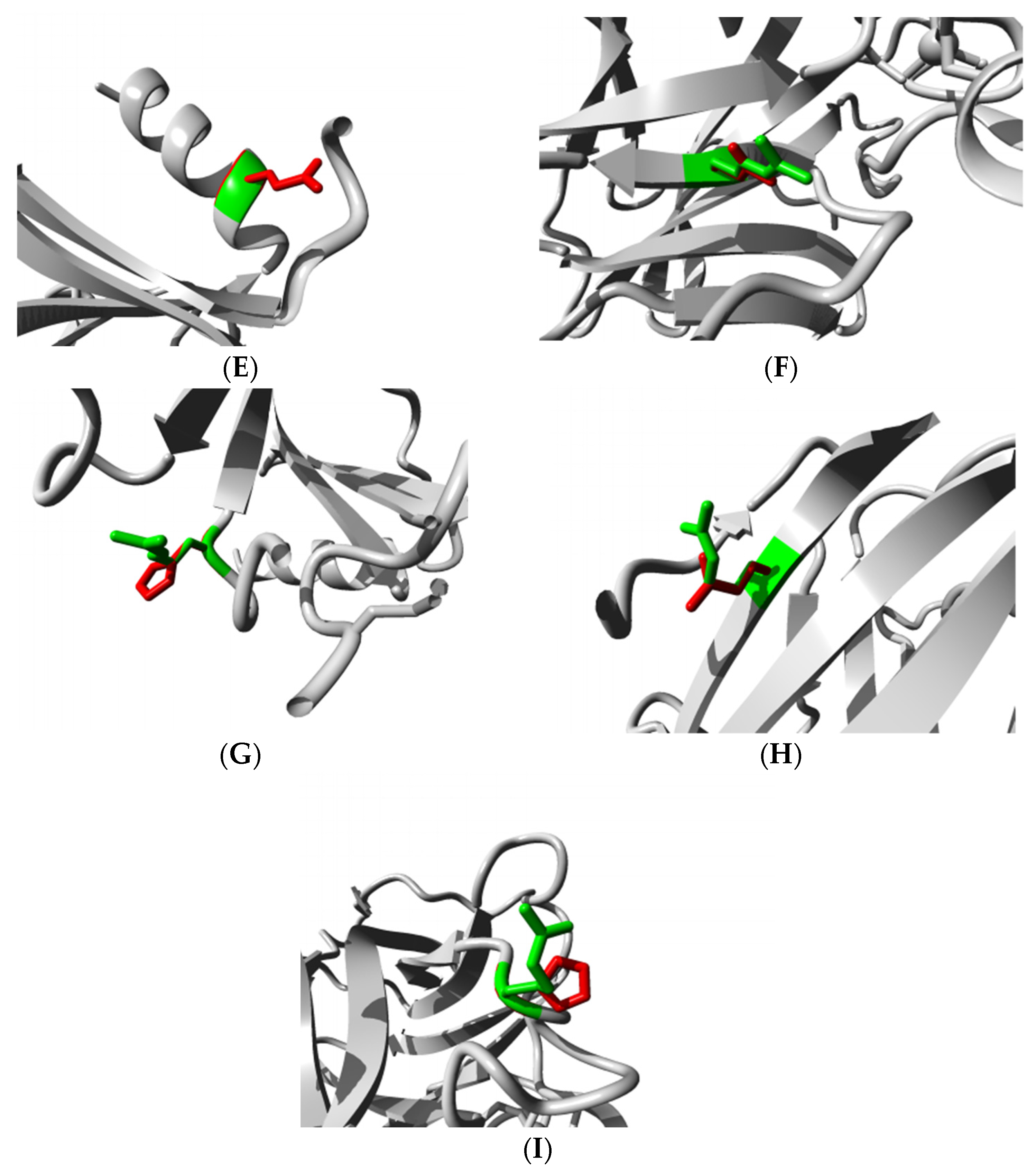 Biomolecules 11 01733 g005b