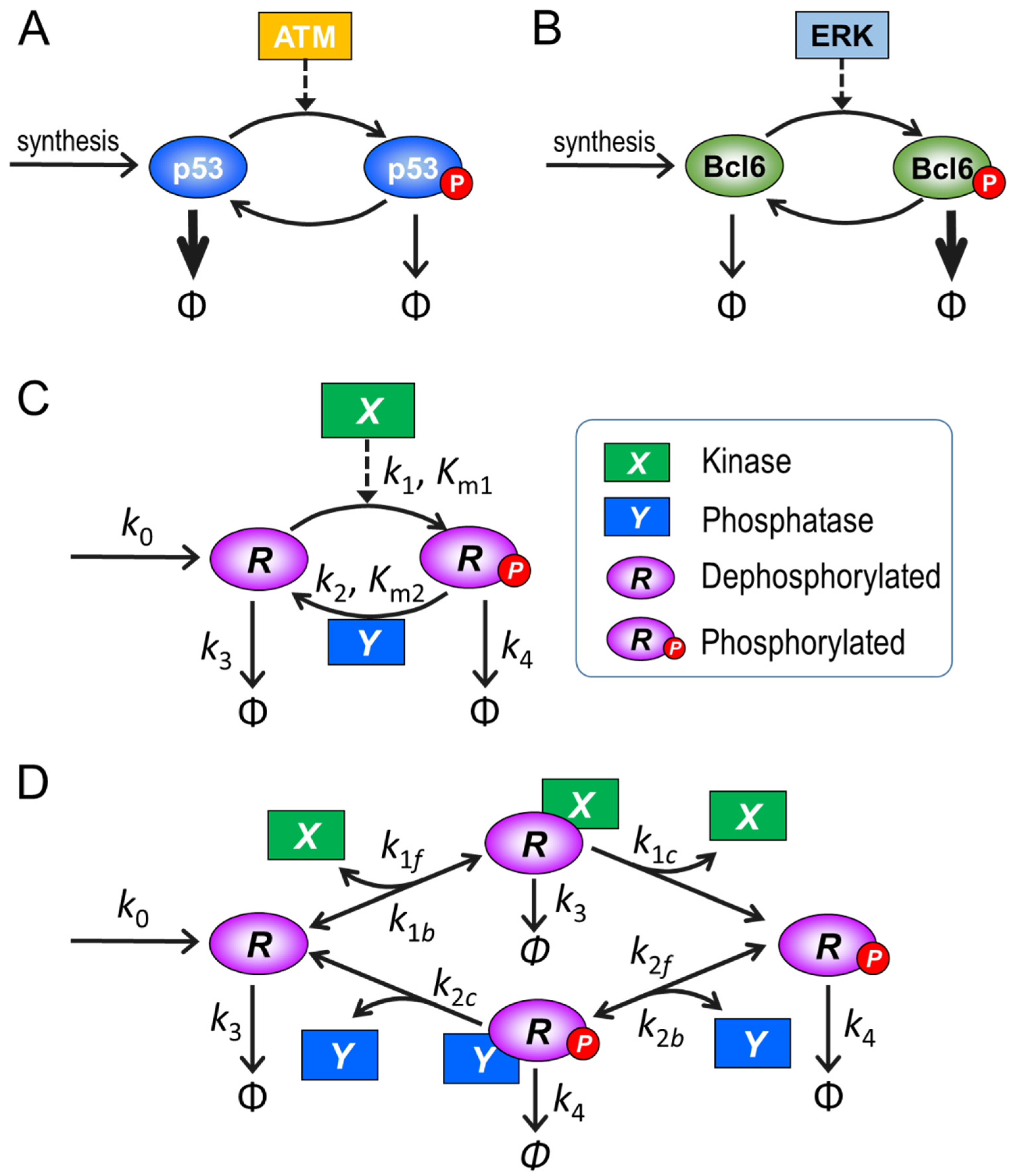 Biomolecules 11 01741 g001