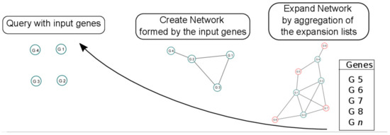 www.mdpi.com