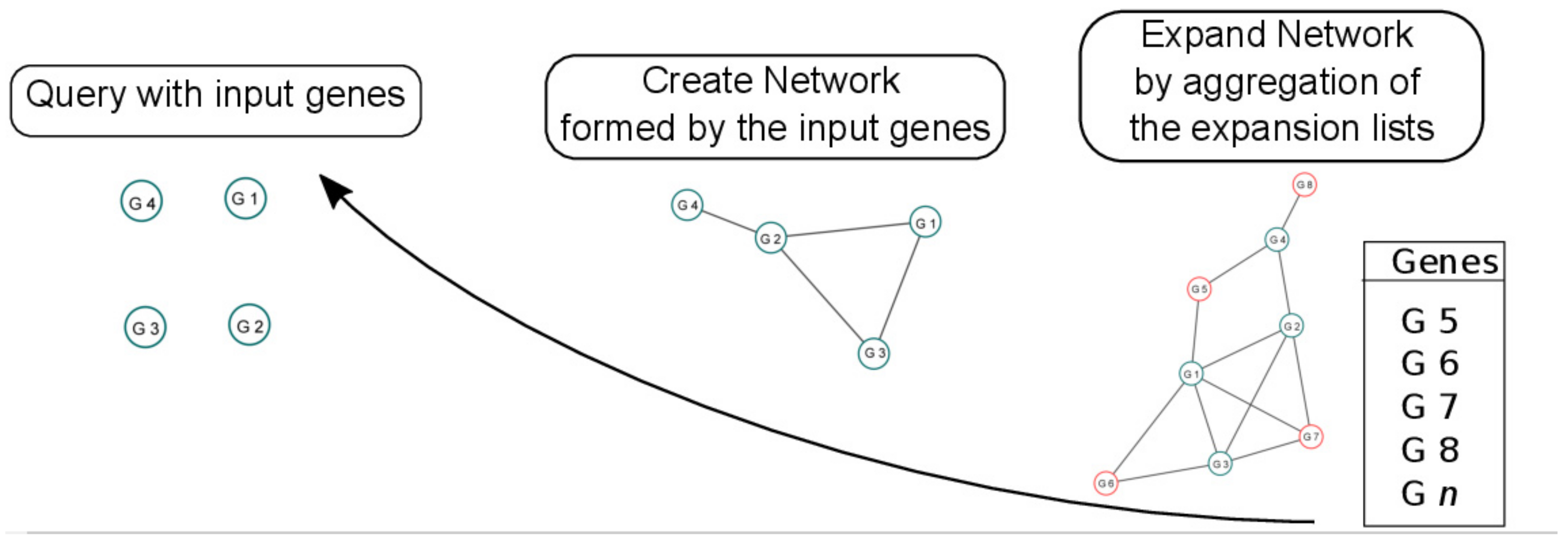 Biomolecules 11 01744 g001