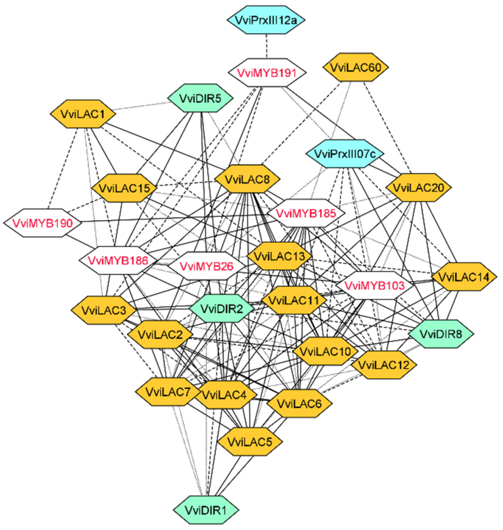Biomolecules 11 01744 g004