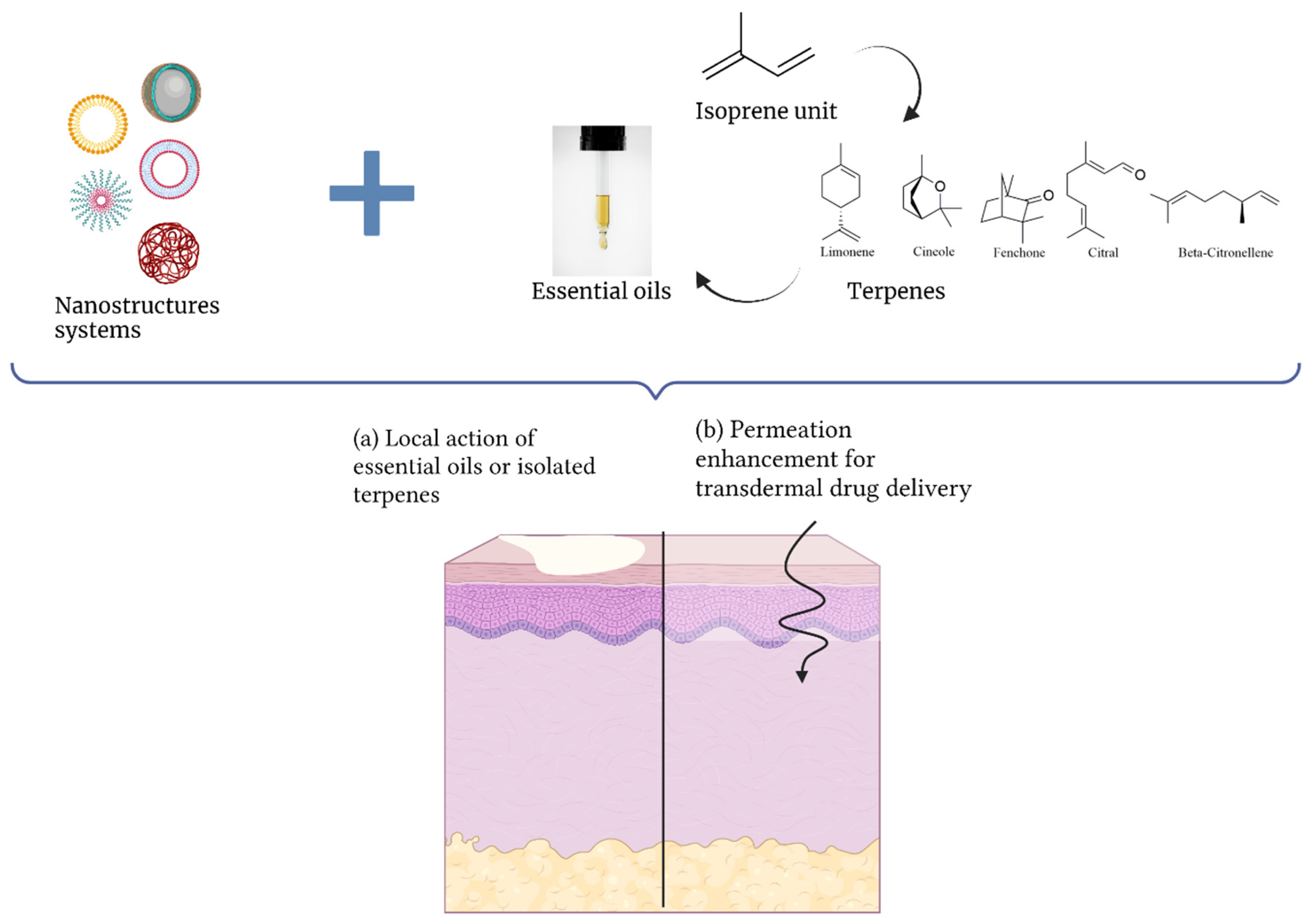 Biomolecules 11 01745 g001 550