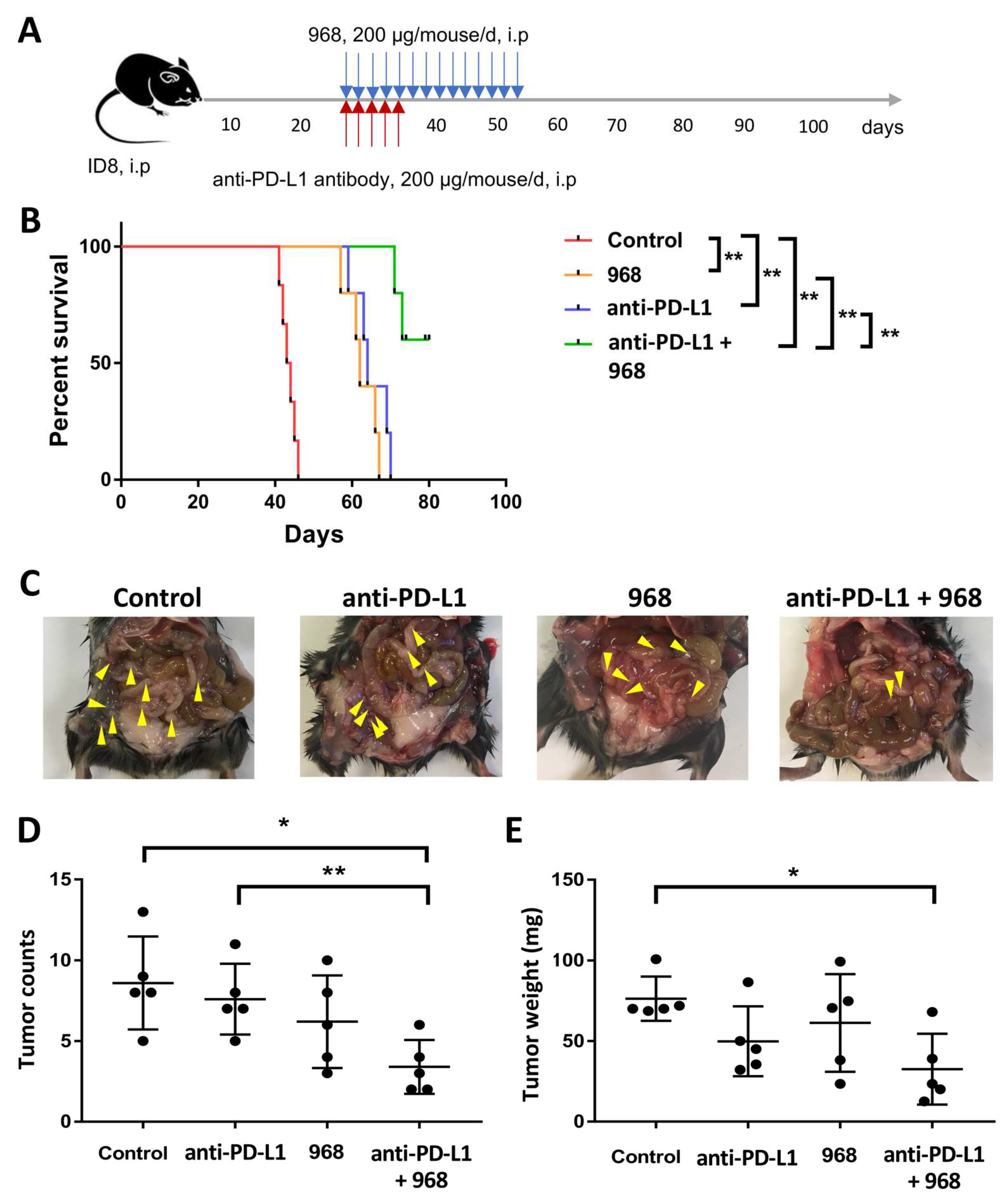 Biomolecules 11 01749 g004