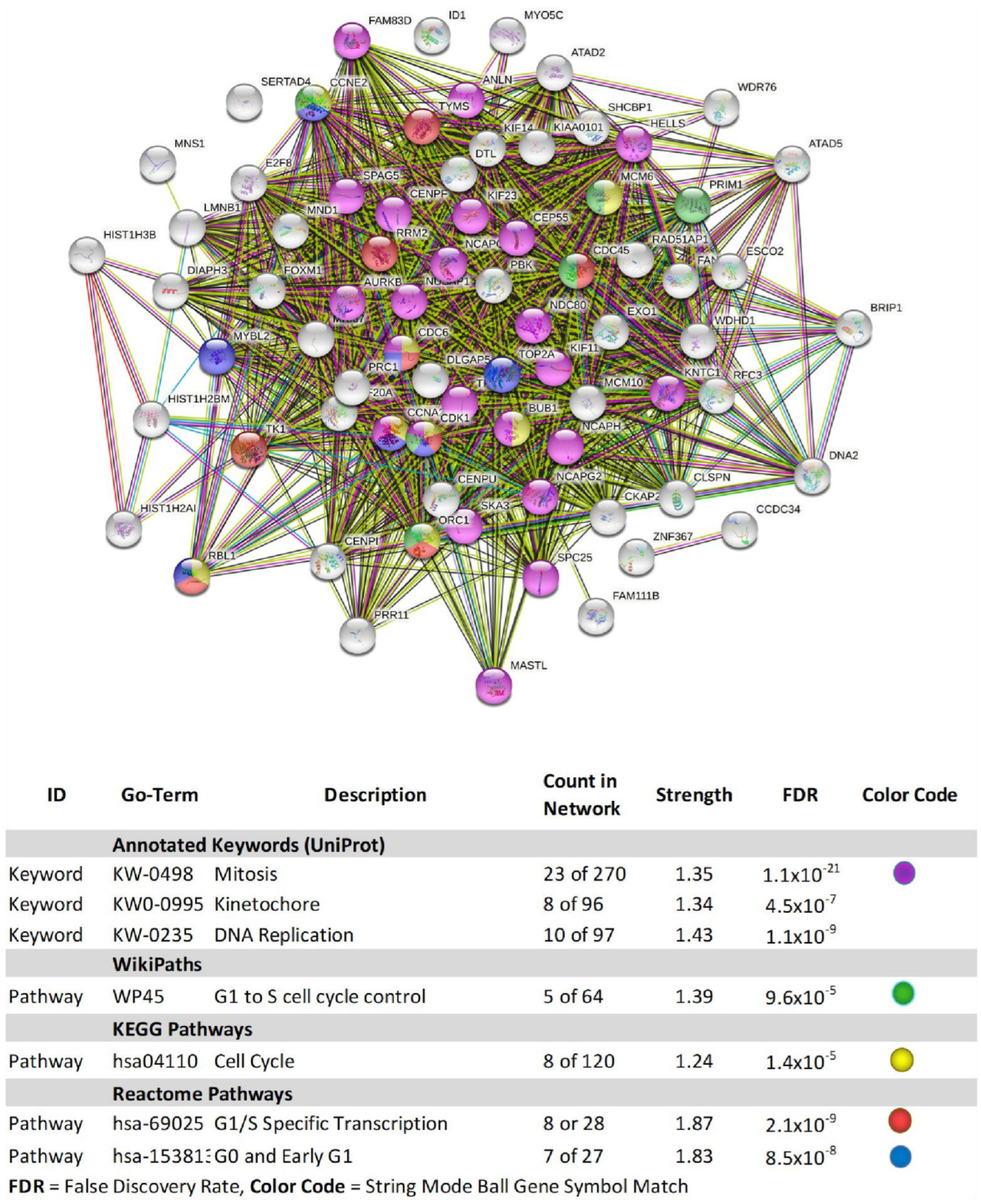 Biomolecules 11 01751 g008
