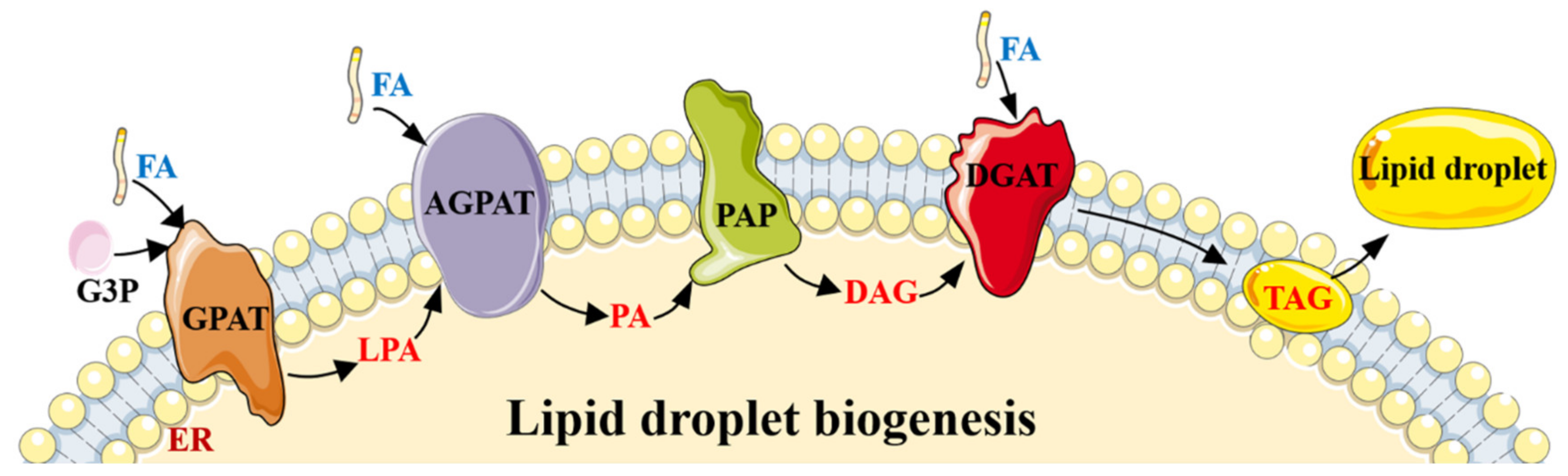 Biomolecules 11 01757 g001