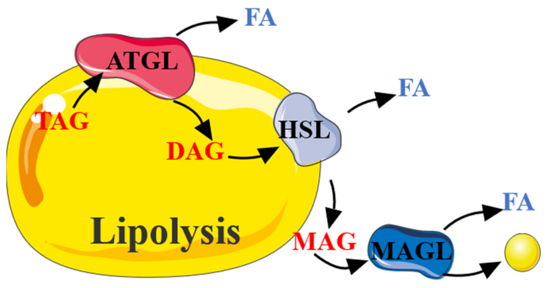 Biomolecules 11 01757 g002