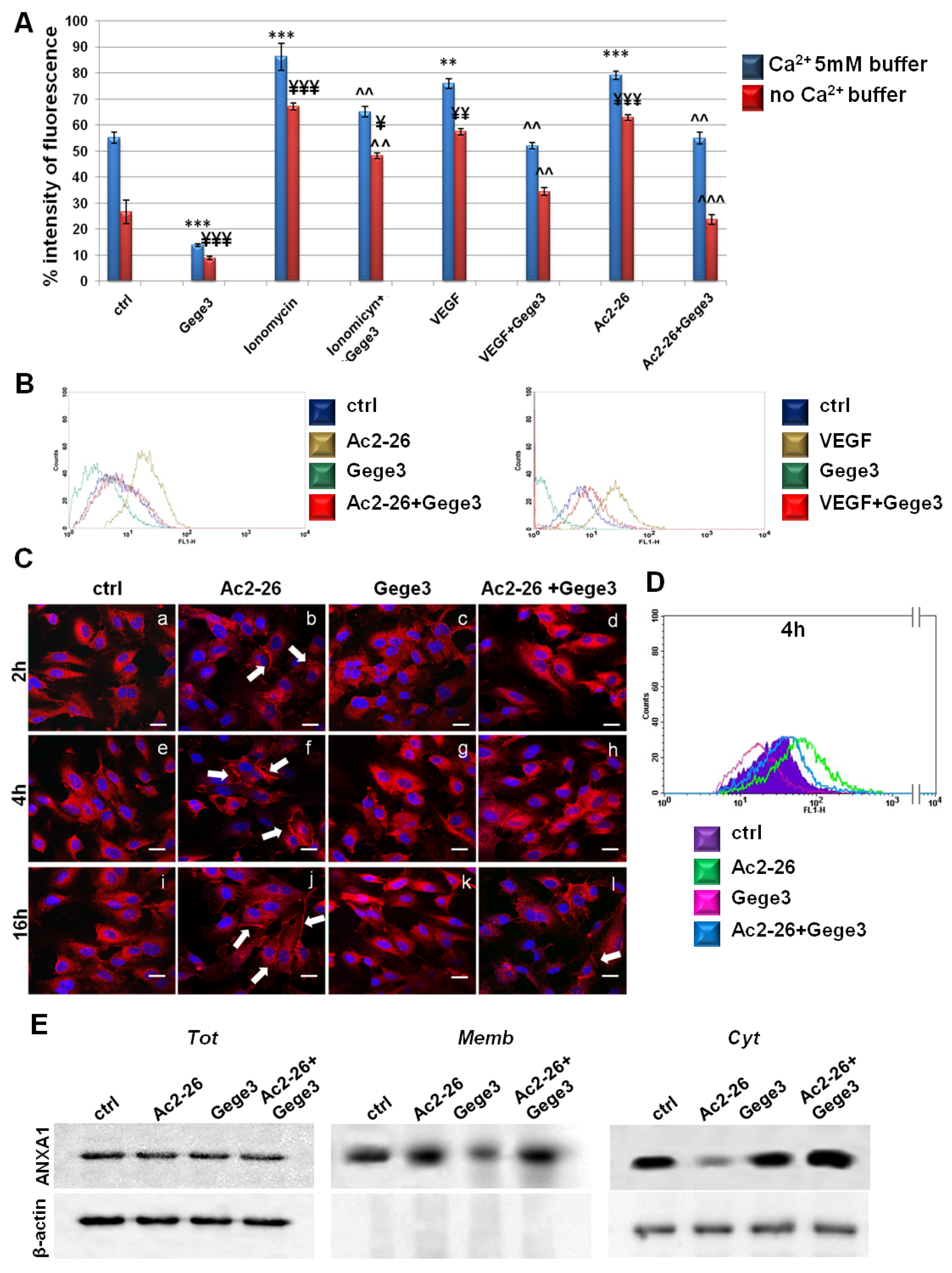 Biomolecules 11 01758 g002 Biomolecules 11 01758 g002