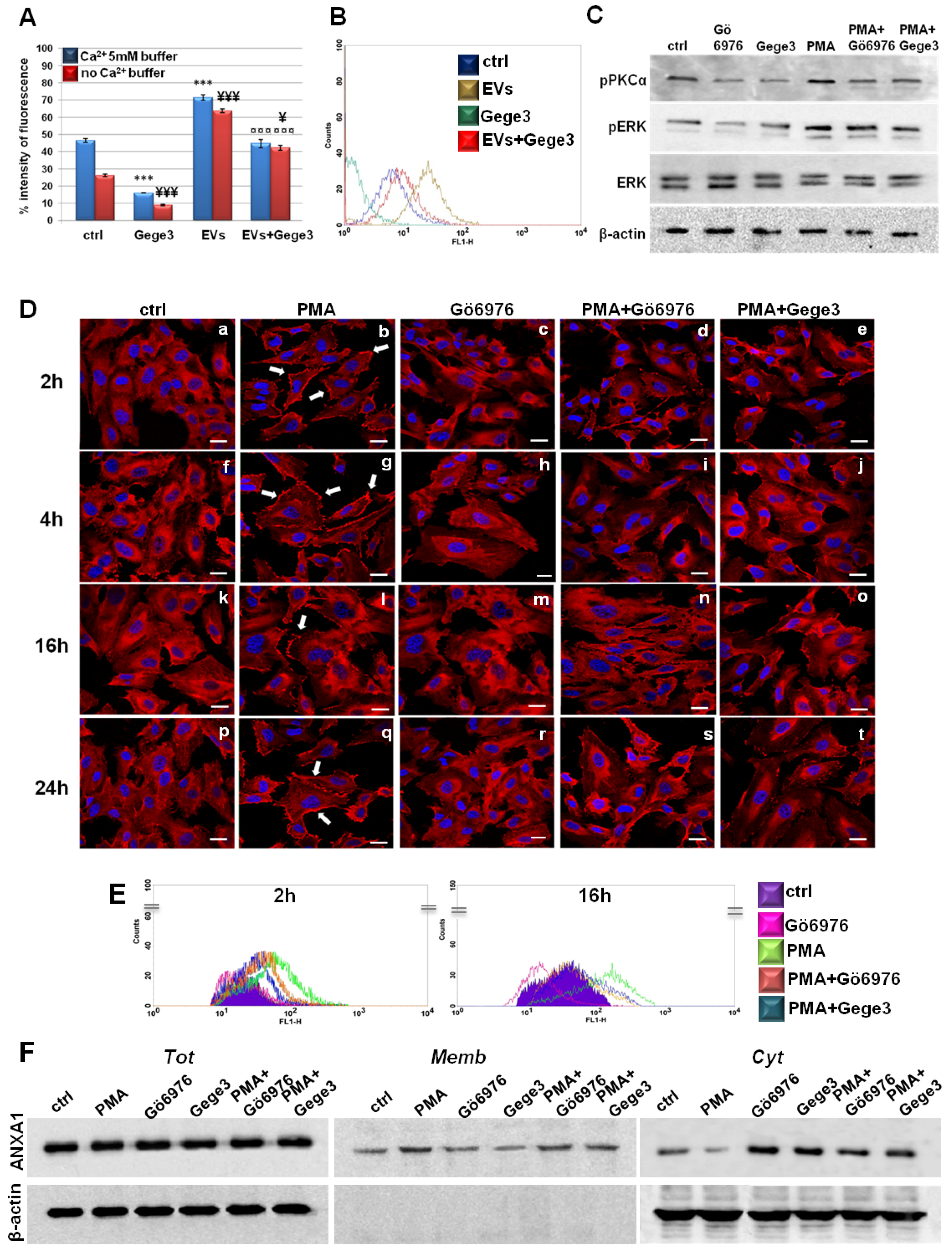 Biomolecules 11 01758 g005 Biomolecules 11 01758 g005