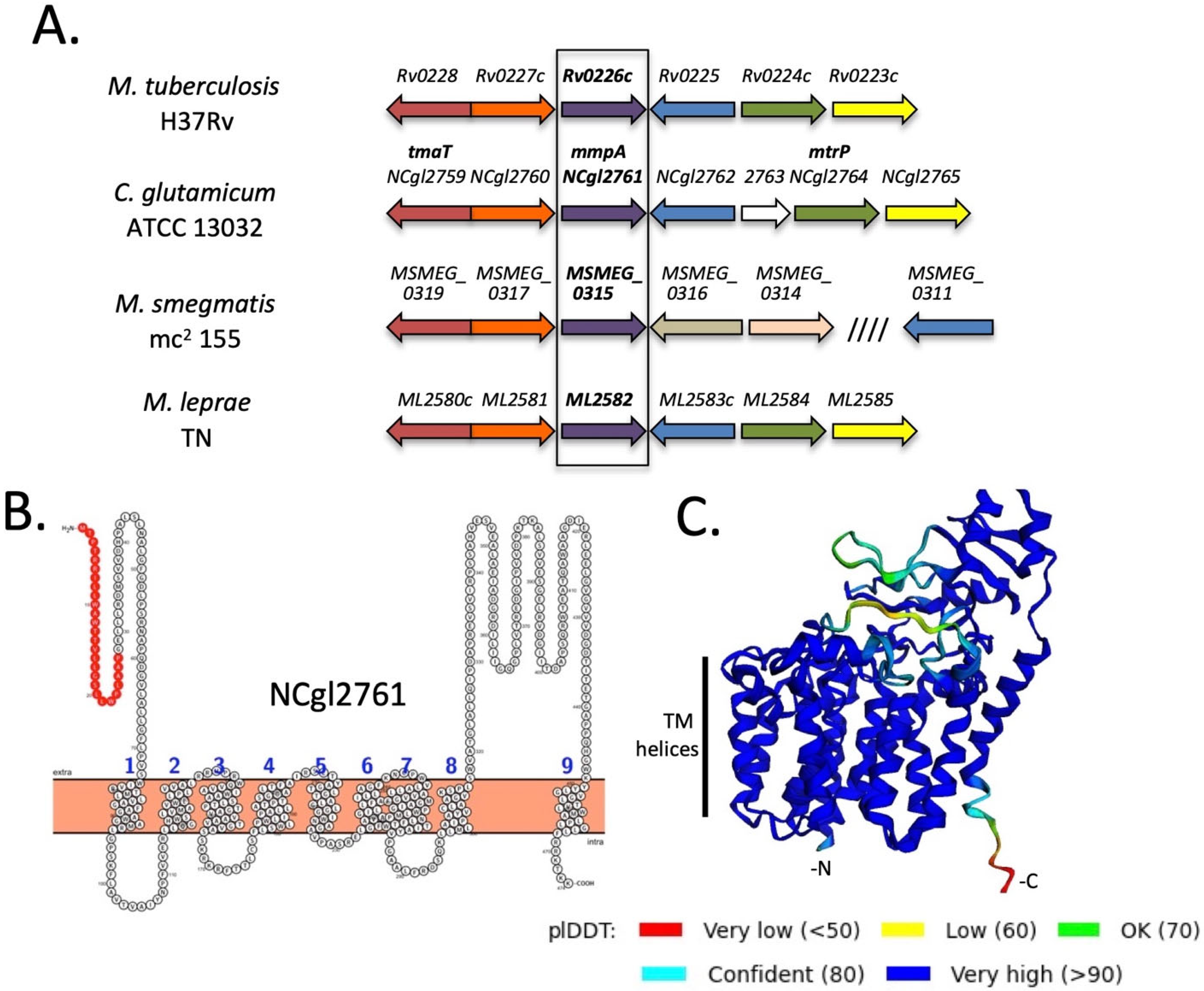 Biomolecules 11 01760 g001 550