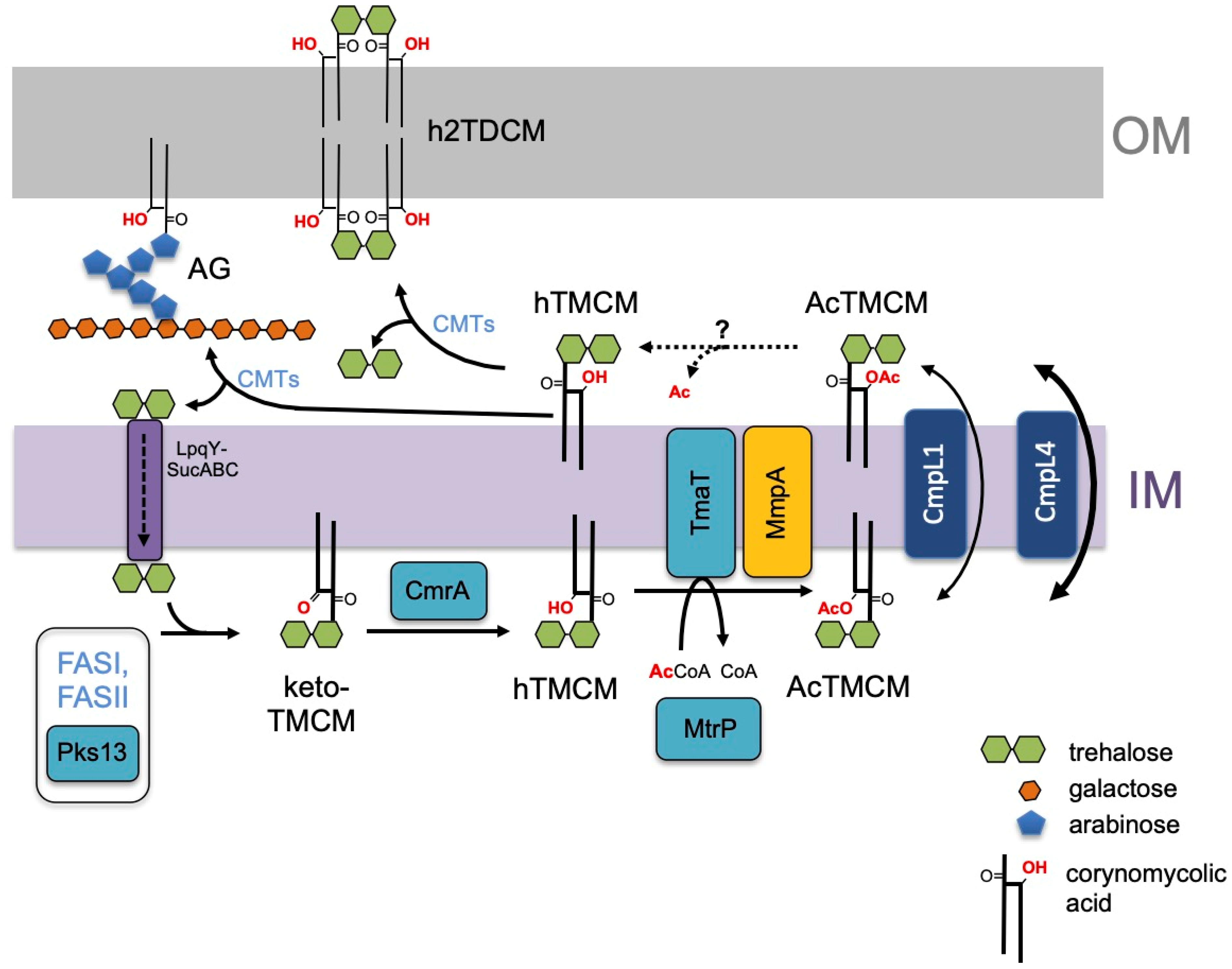 Biomolecules 11 01760 g007 550