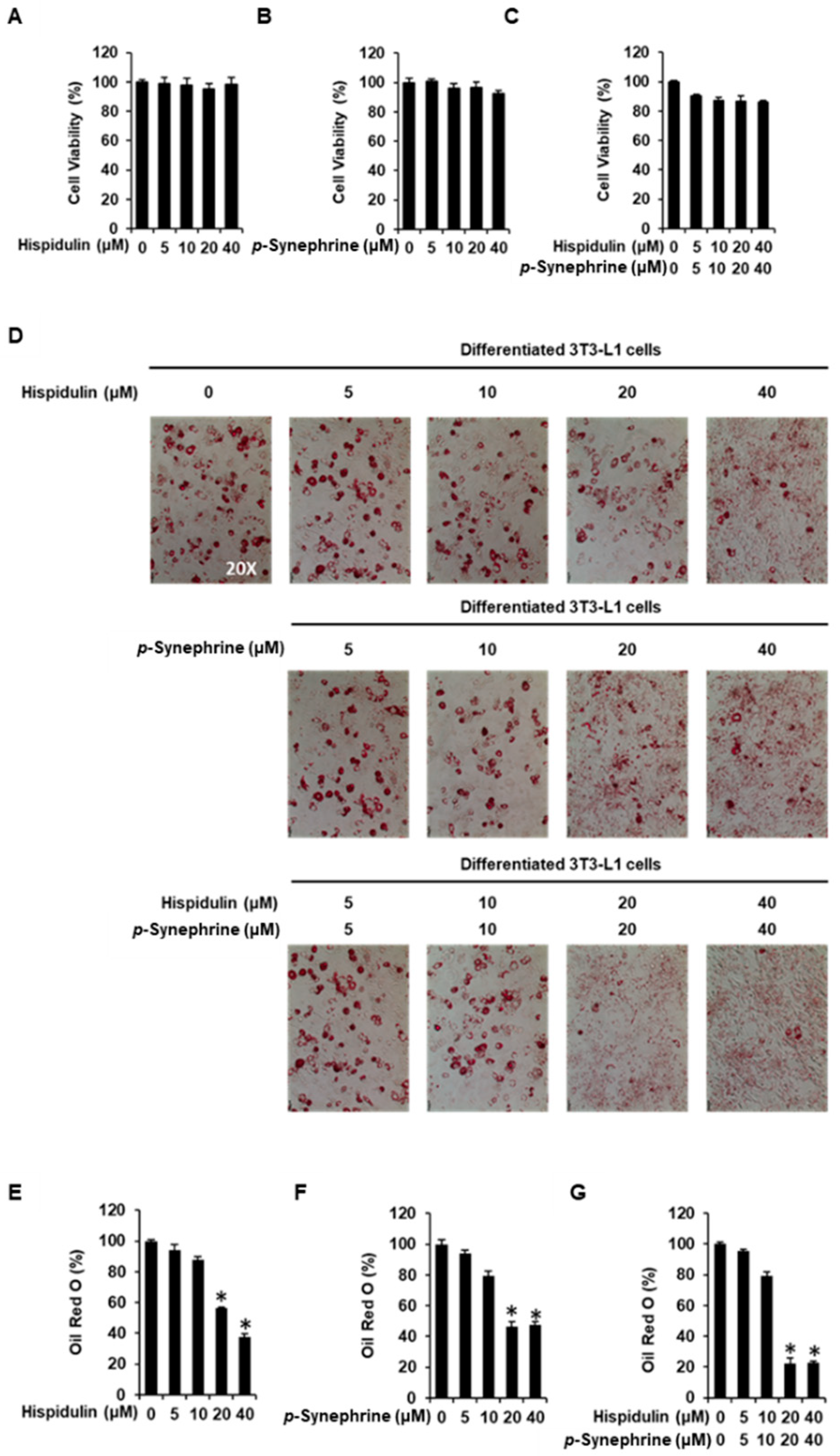 Biomolecules 11 01764 g006