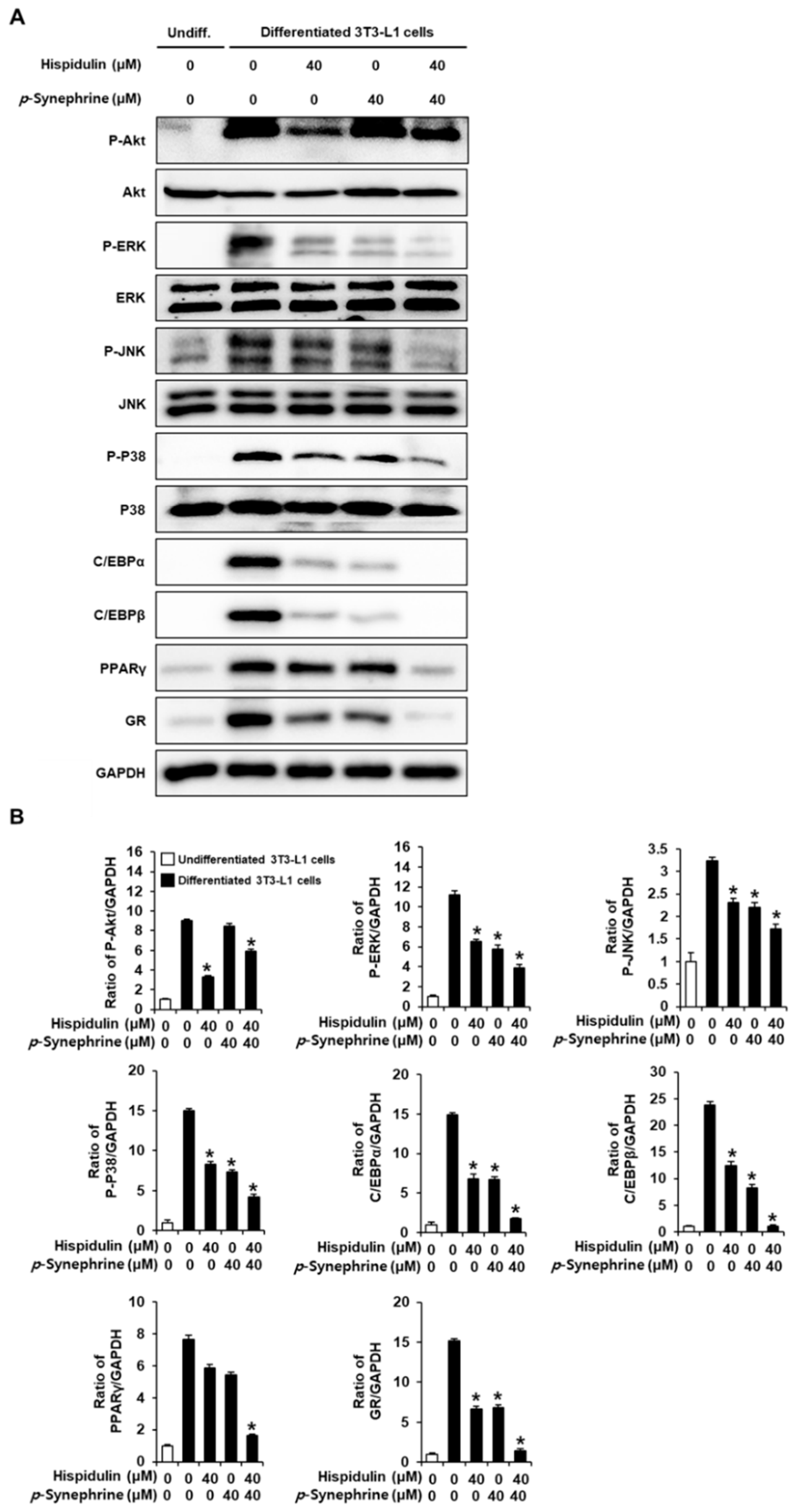 Biomolecules 11 01764 g007