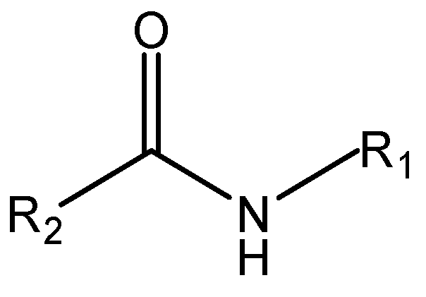 Natural Bioactive Cinnamoyltyramine Alkylamides and Co