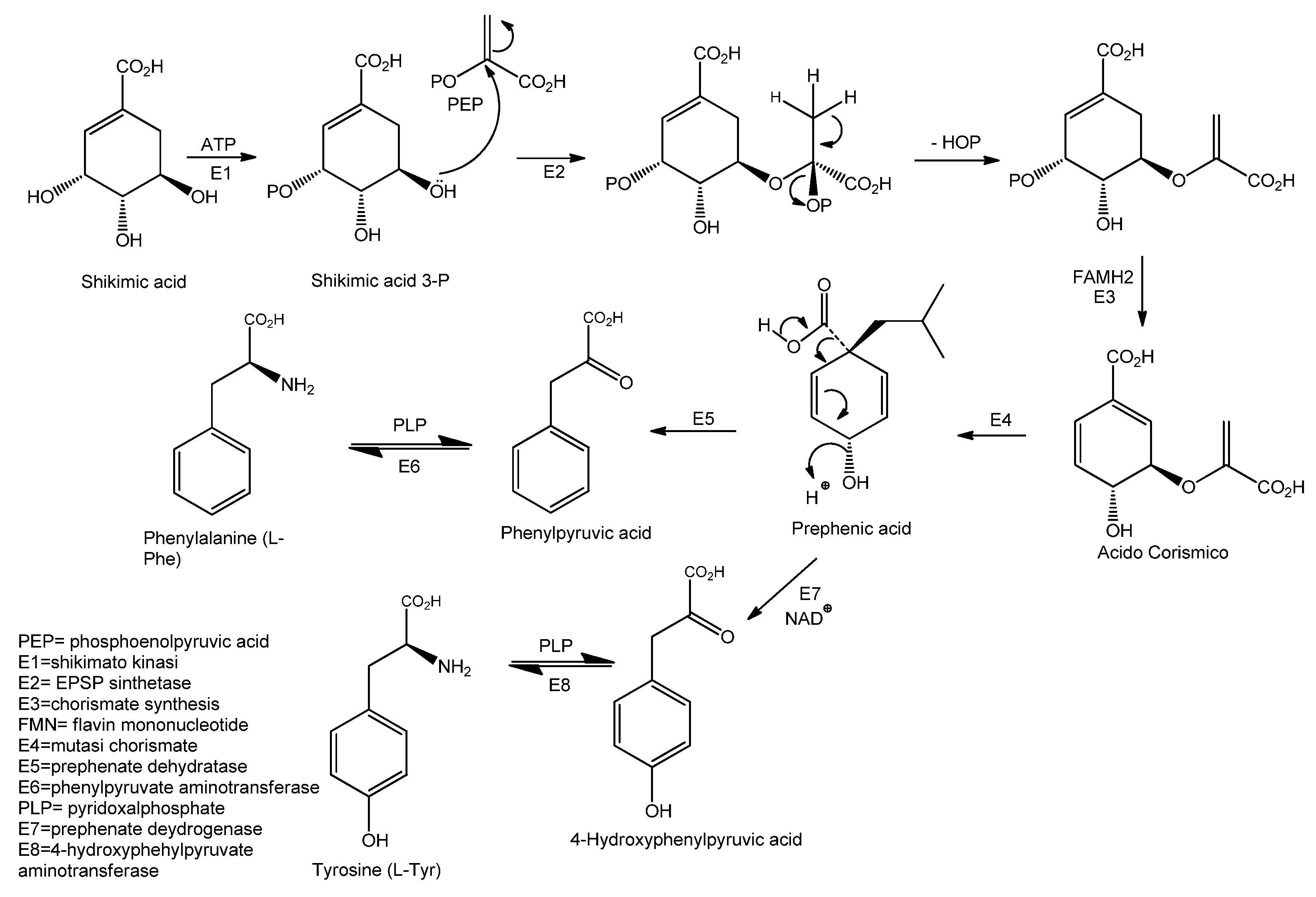 Biomolecules 11 01765 sch002