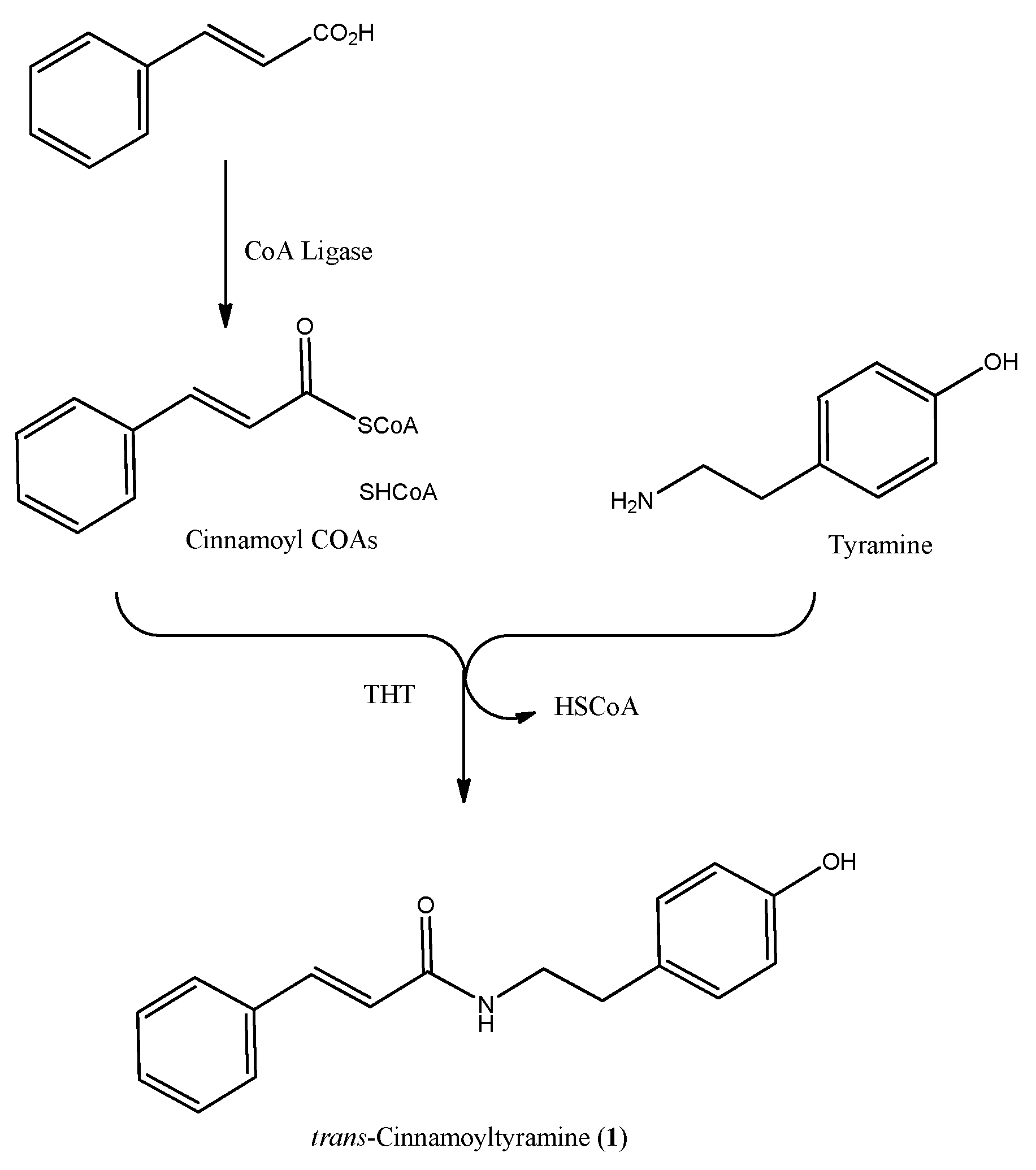 Biomolecules 11 01765 sch003