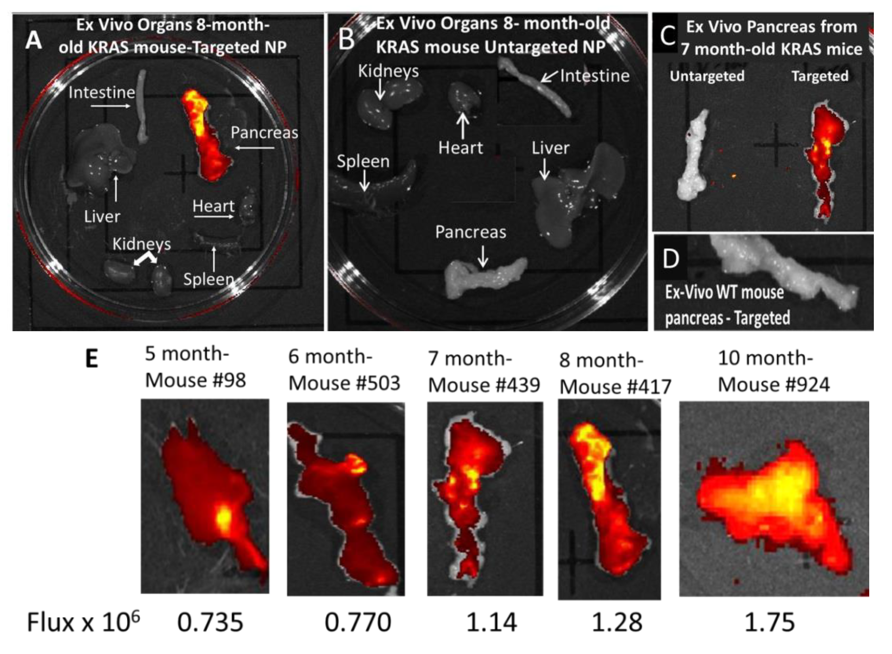 Biomolecules 11 01766 g004