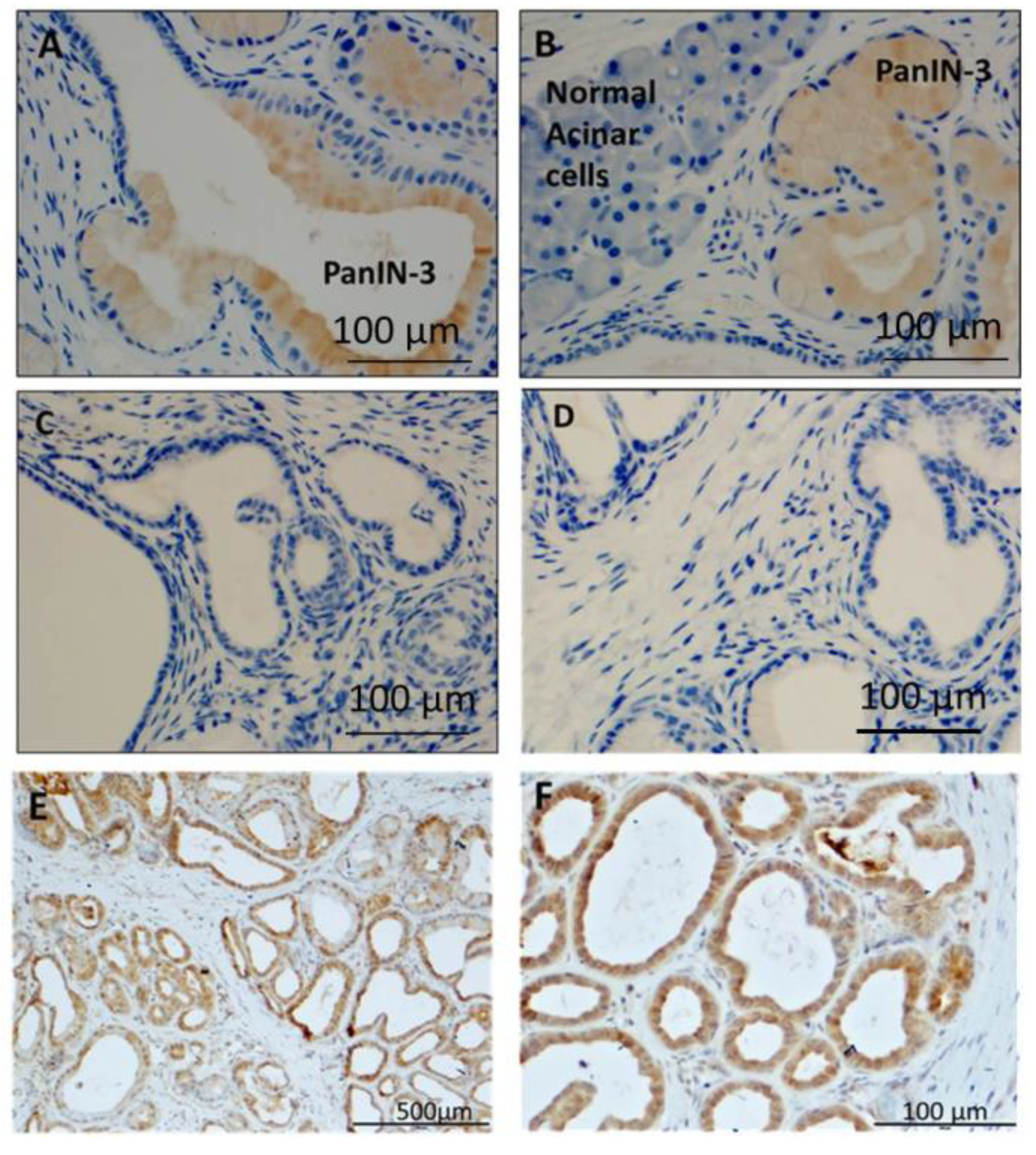 Biomolecules 11 01766 g006