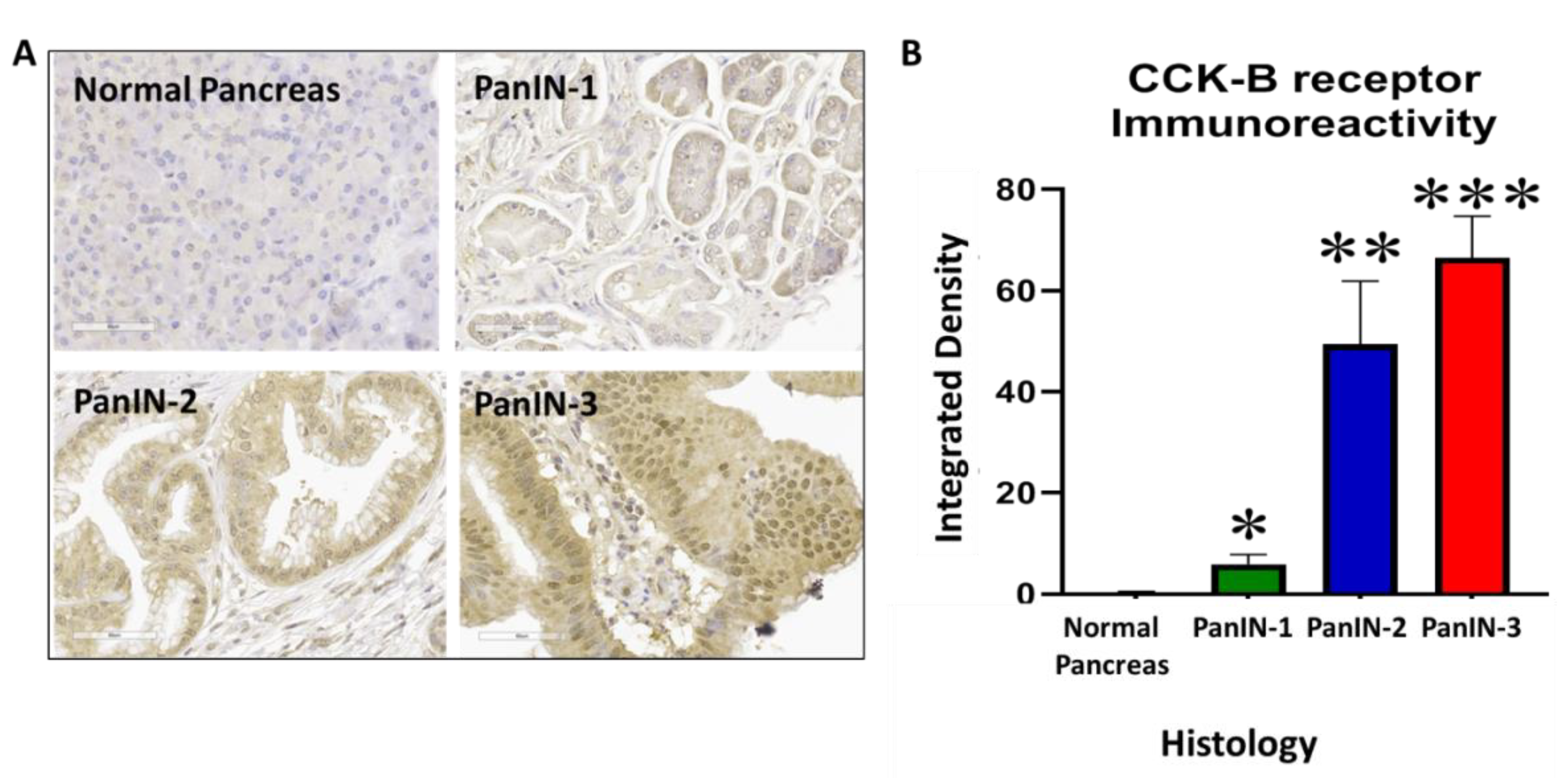 Biomolecules 11 01766 g008