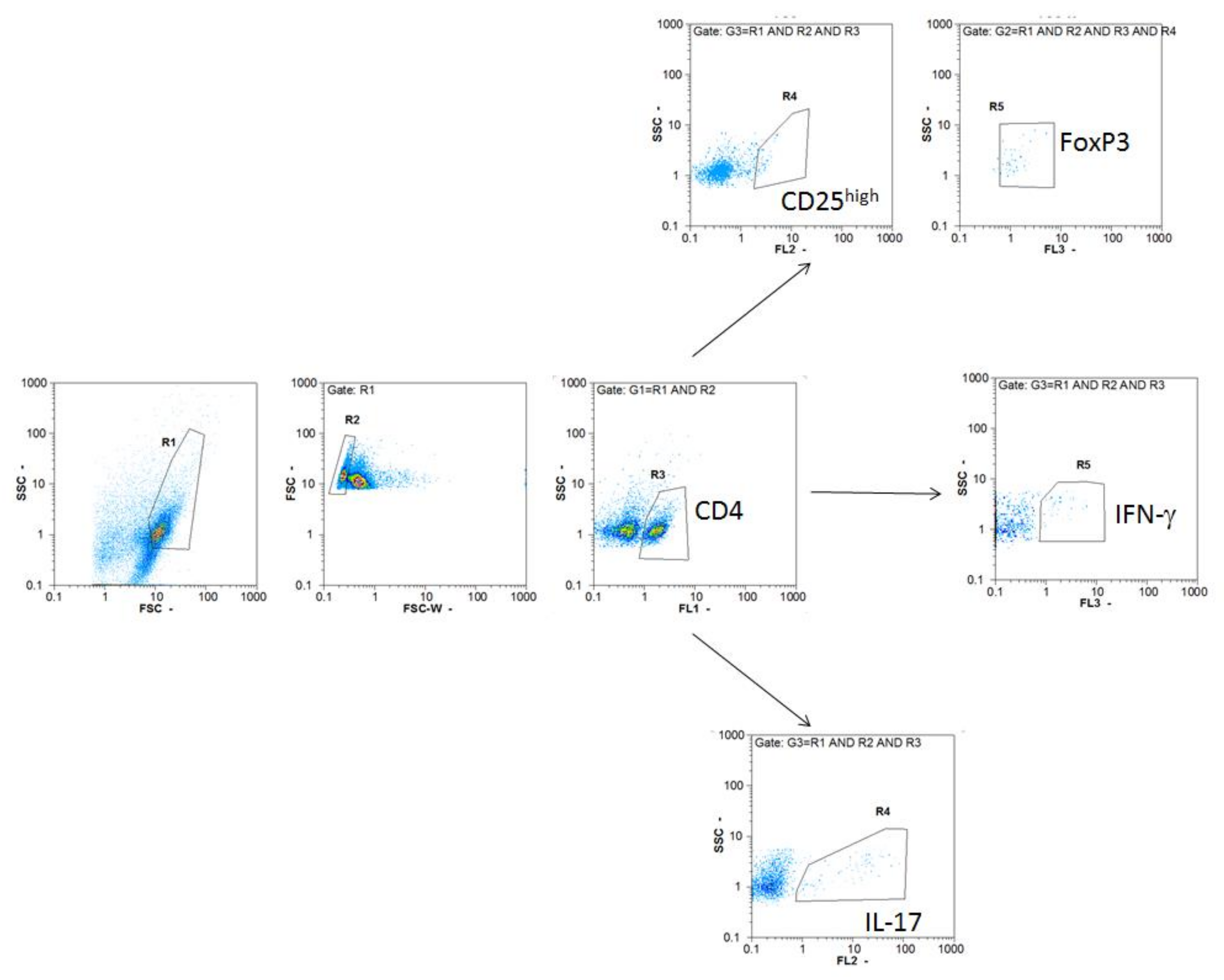 Biomolecules 11 01768 g001