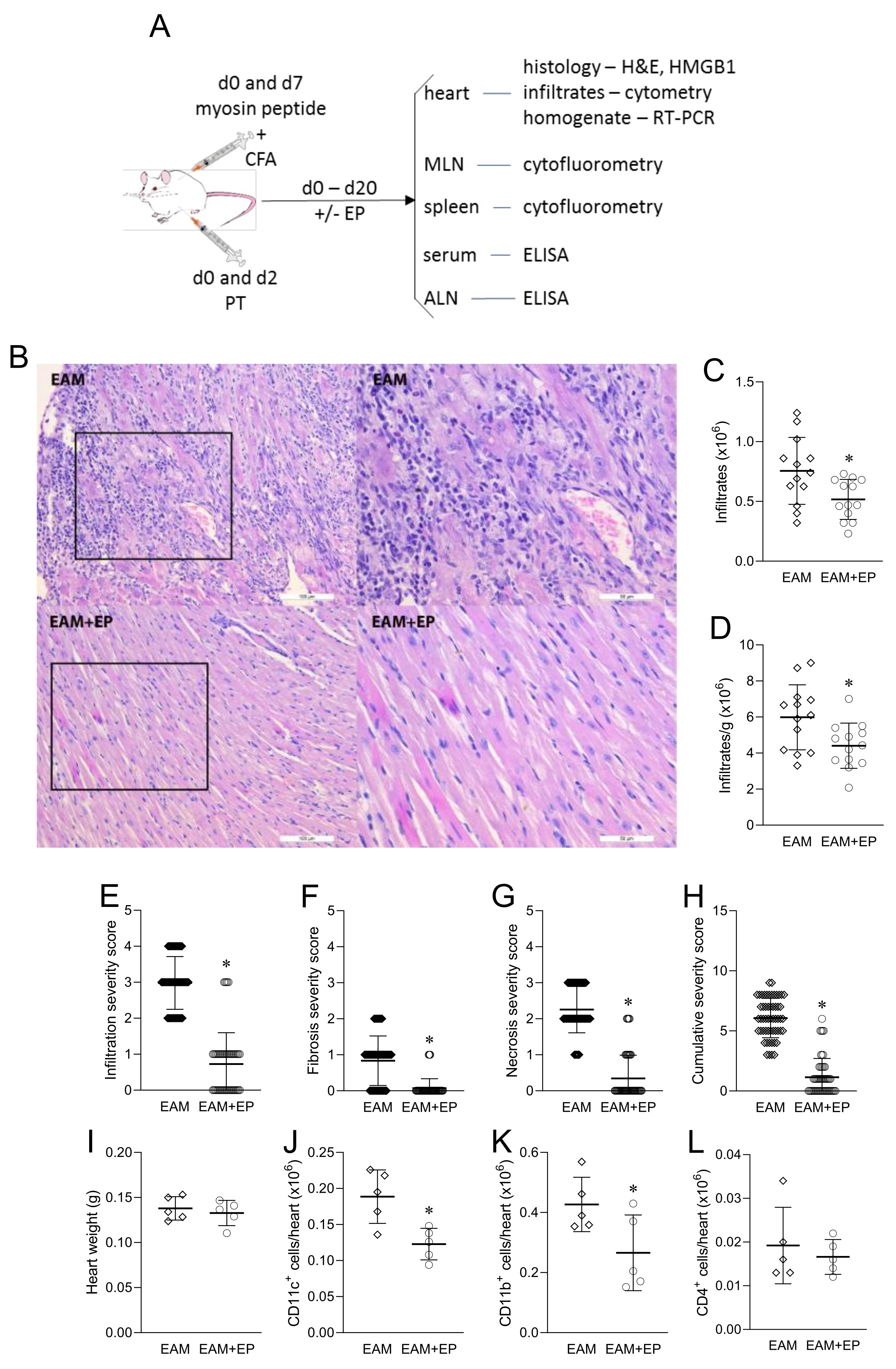 Biomolecules 11 01768 g002