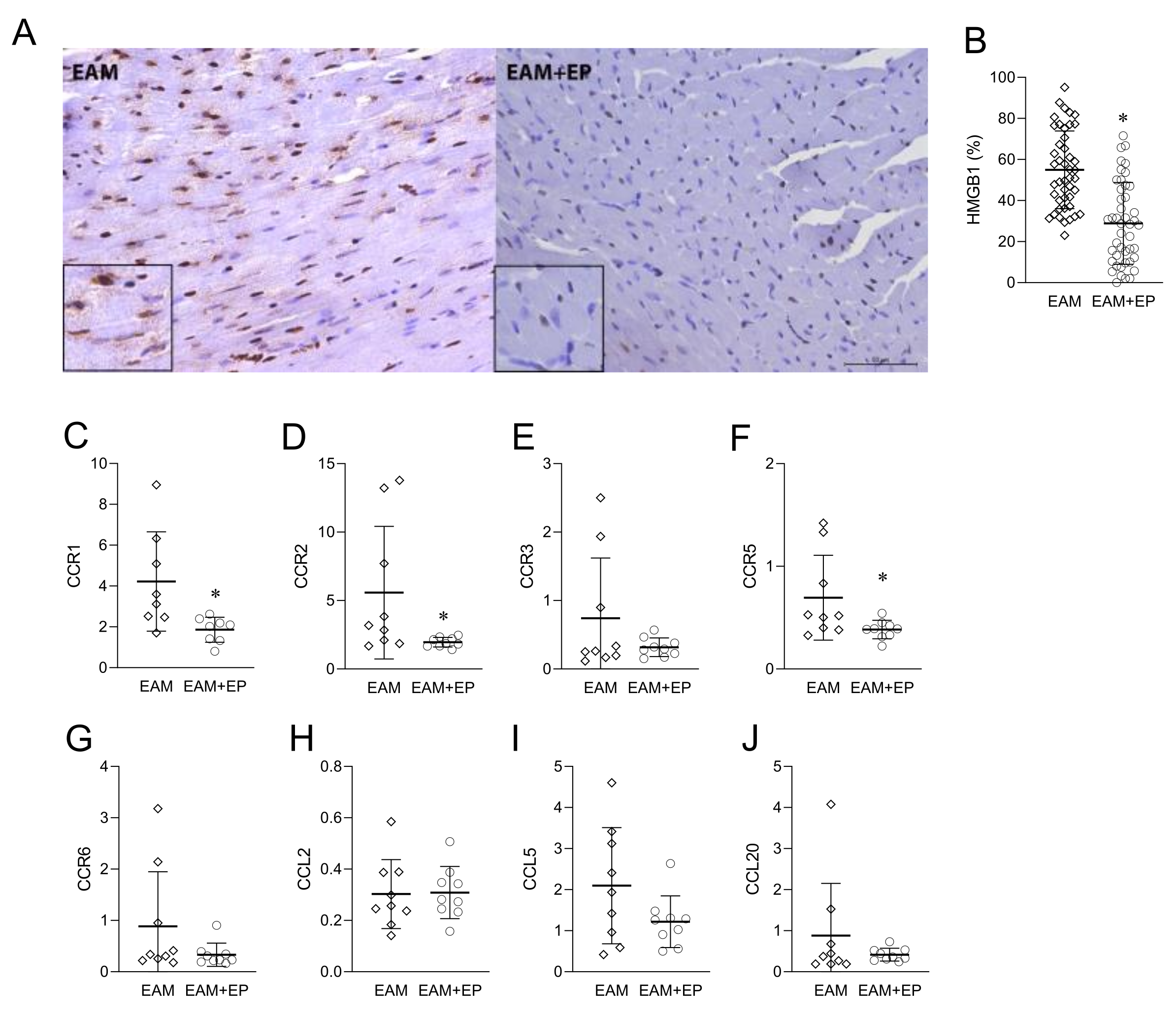 Biomolecules 11 01768 g006