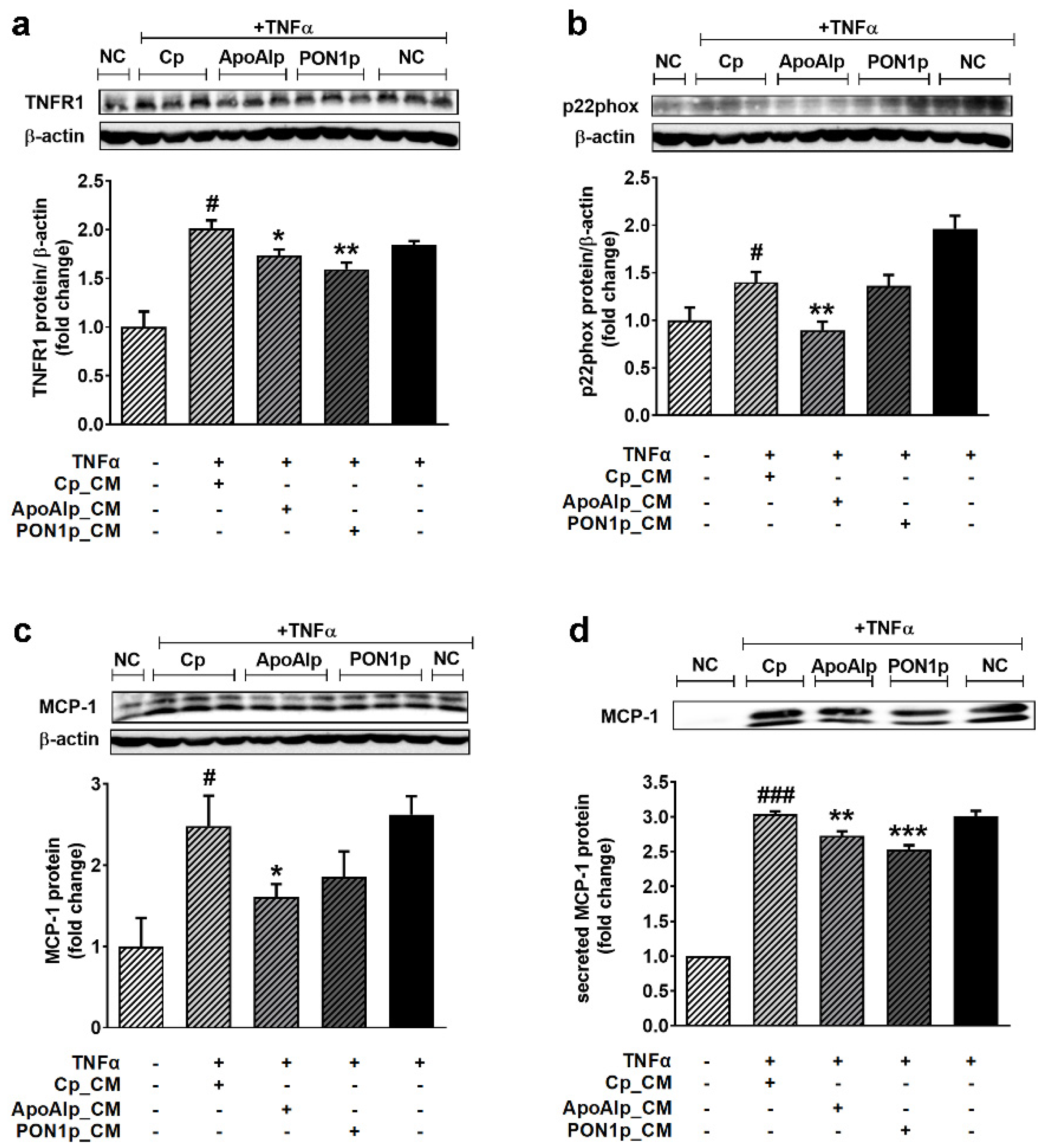 Biomolecules 11 01769 g005 Biomolecules 11 01769 g005