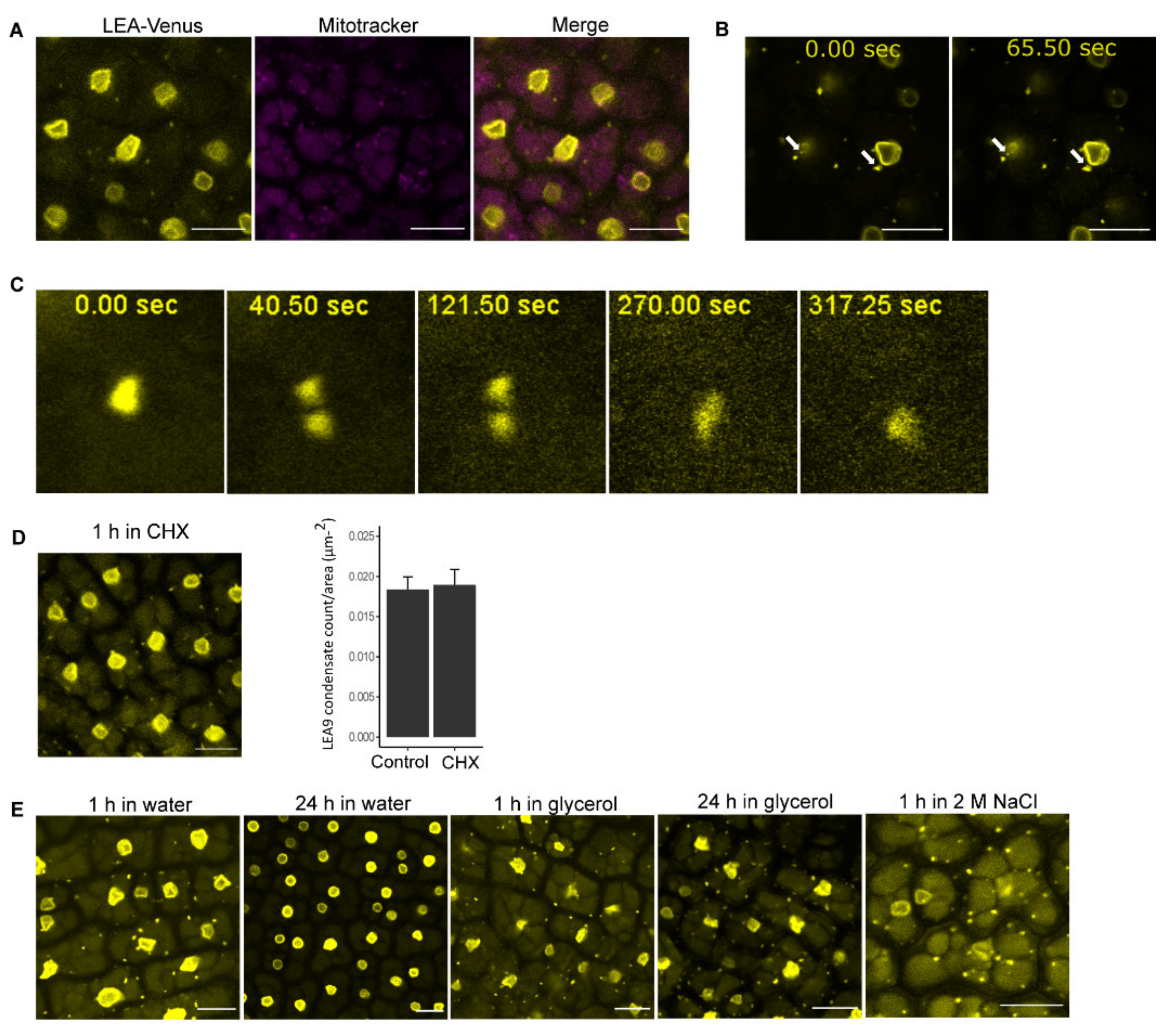 Biomolecules 11 01770 g002