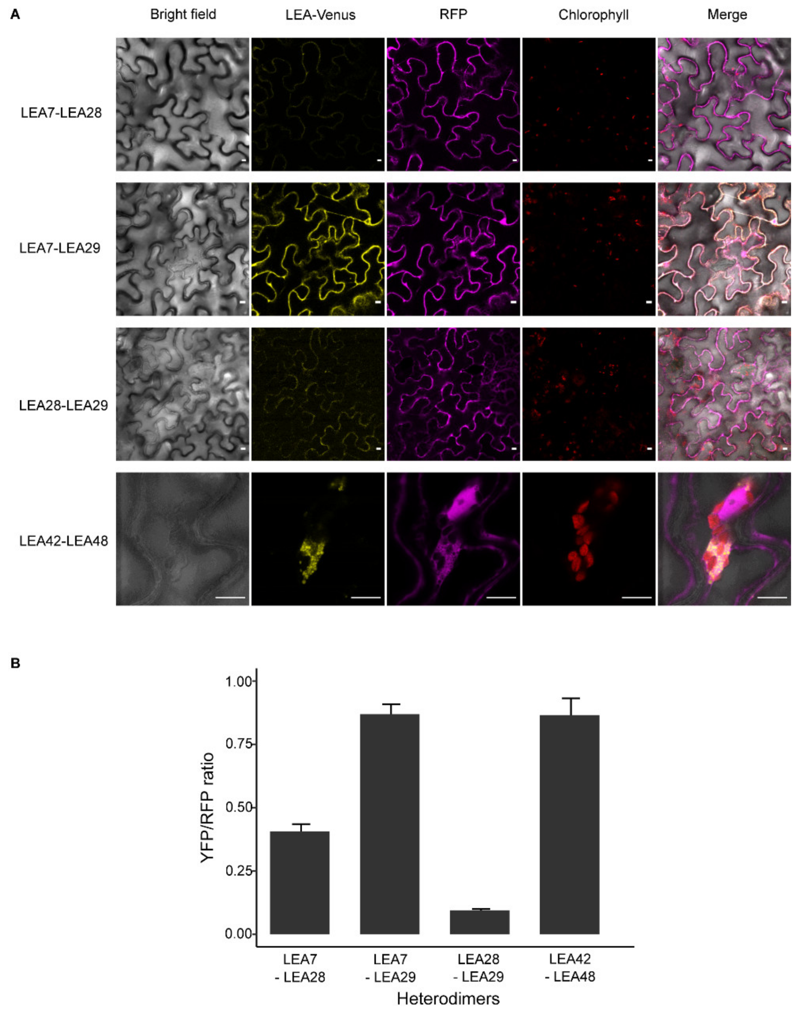 Biomolecules 11 01770 g004