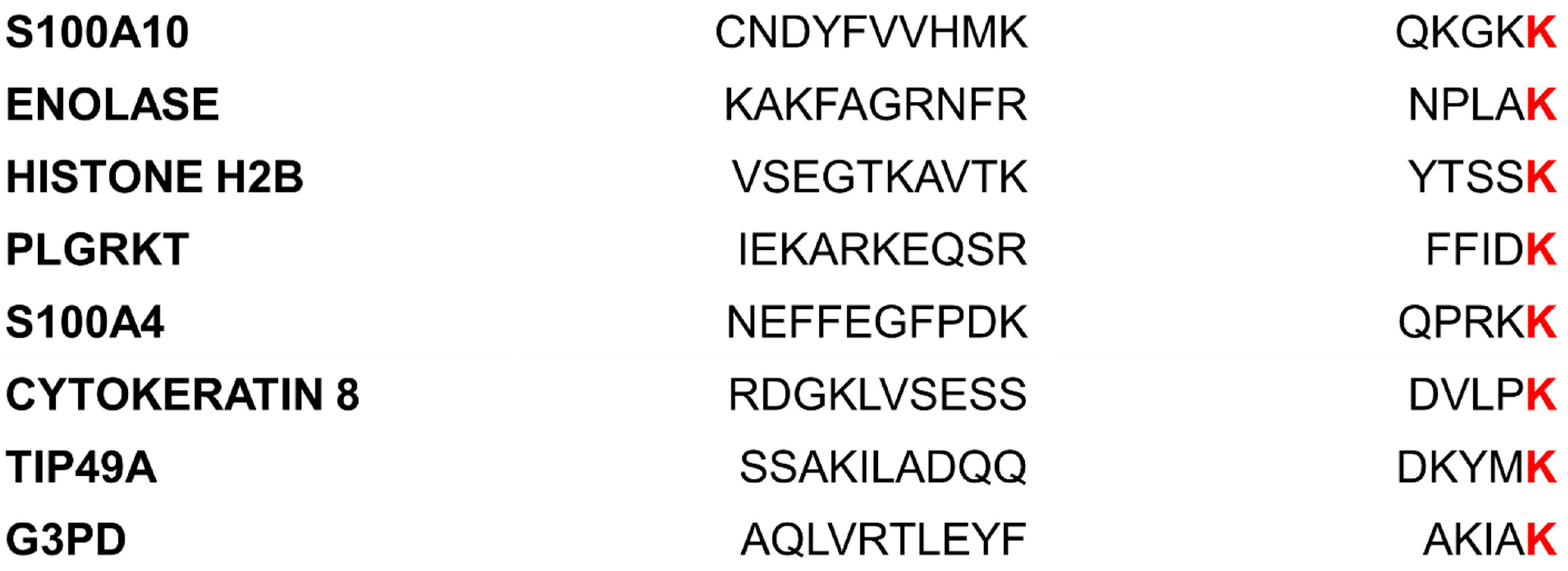 Biomolecules 11 01772 g002 Biomolecules 11 01772 g002