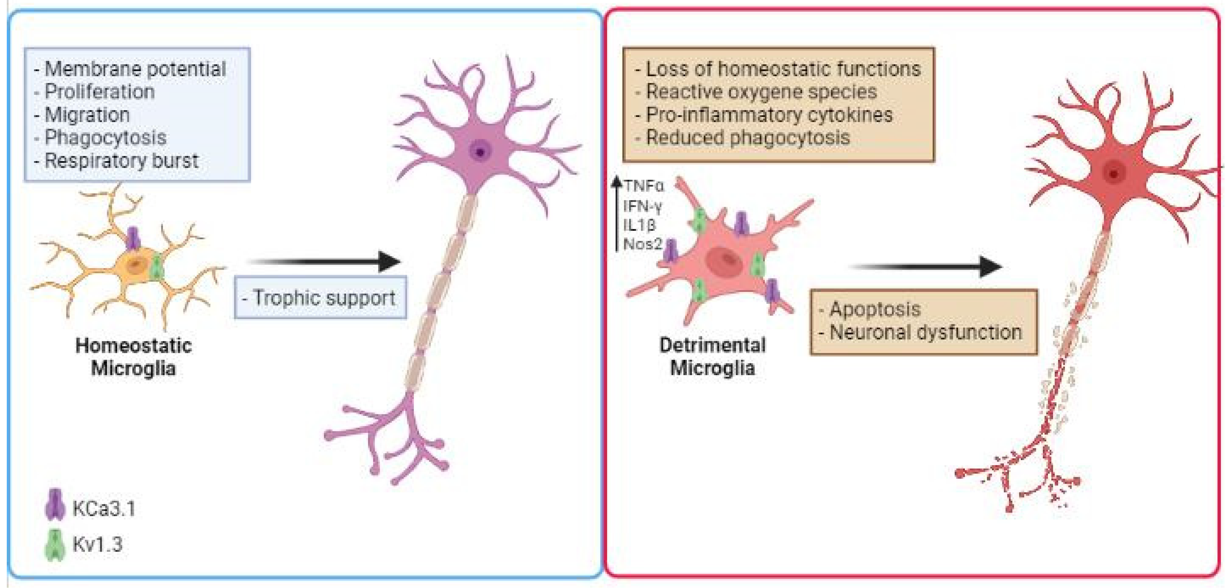 Biomolecules 11 01774 g001