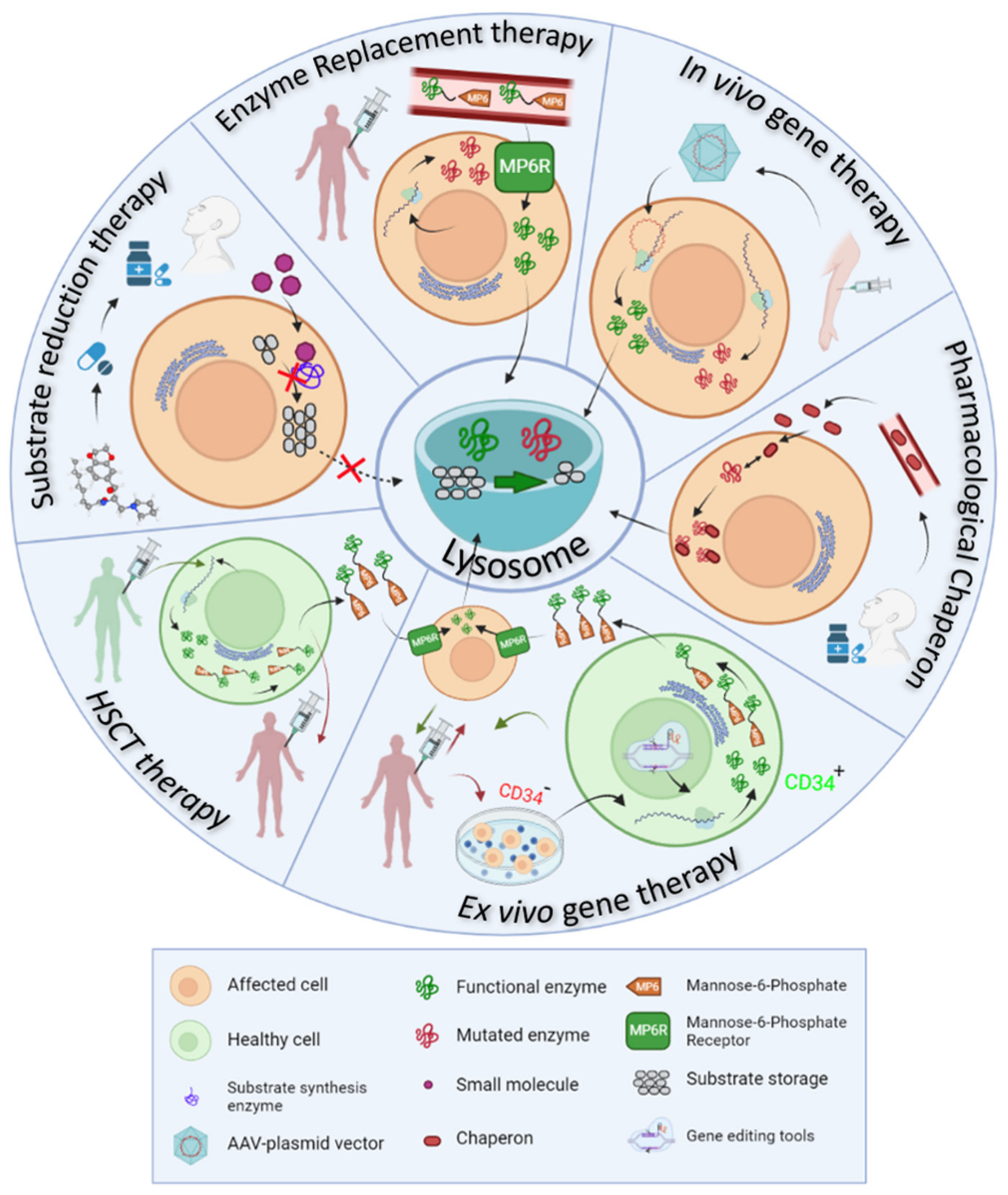Biomolecules 11 01775 g002