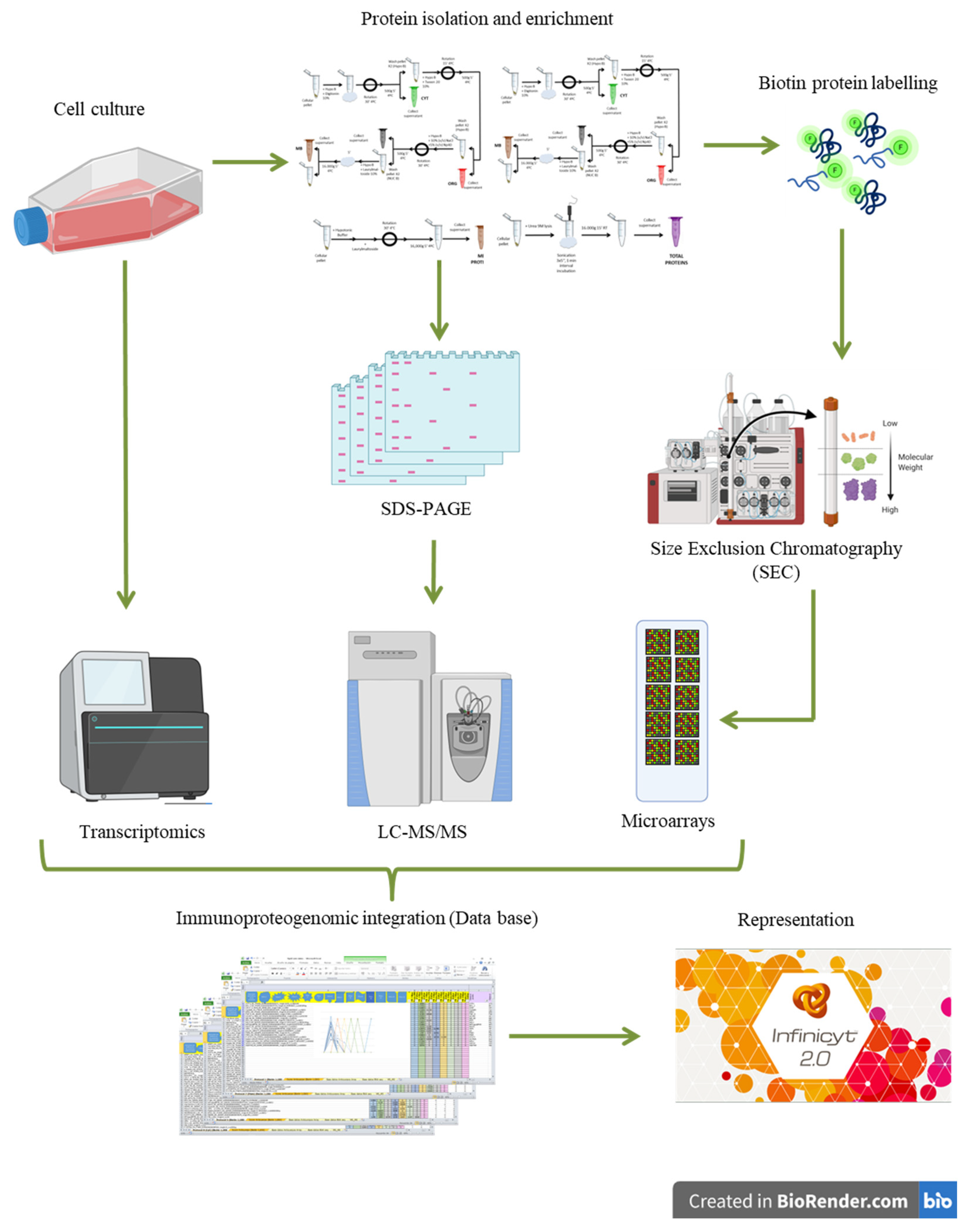 Biomolecules 11 01776 g001