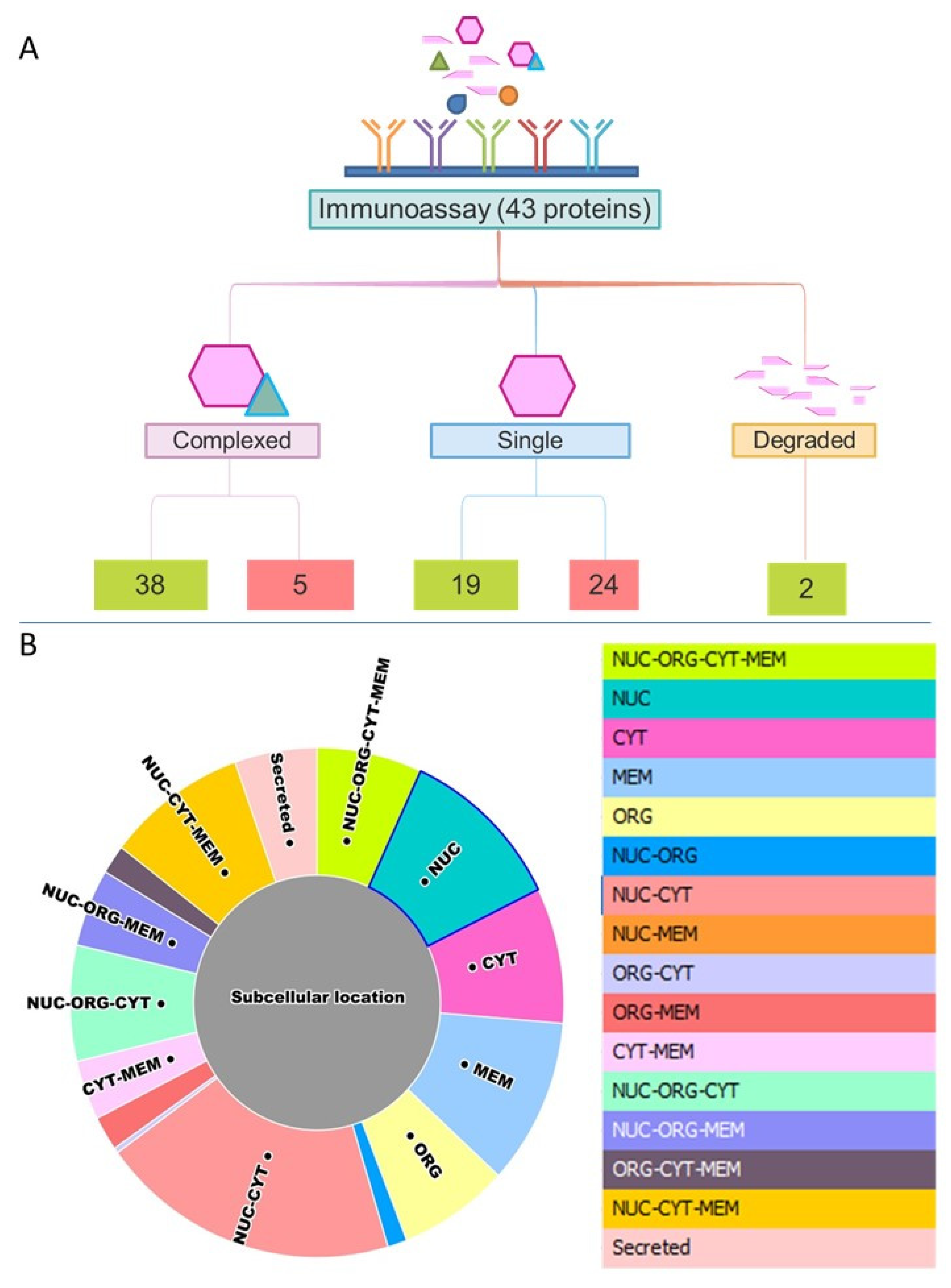 Biomolecules 11 01776 g003