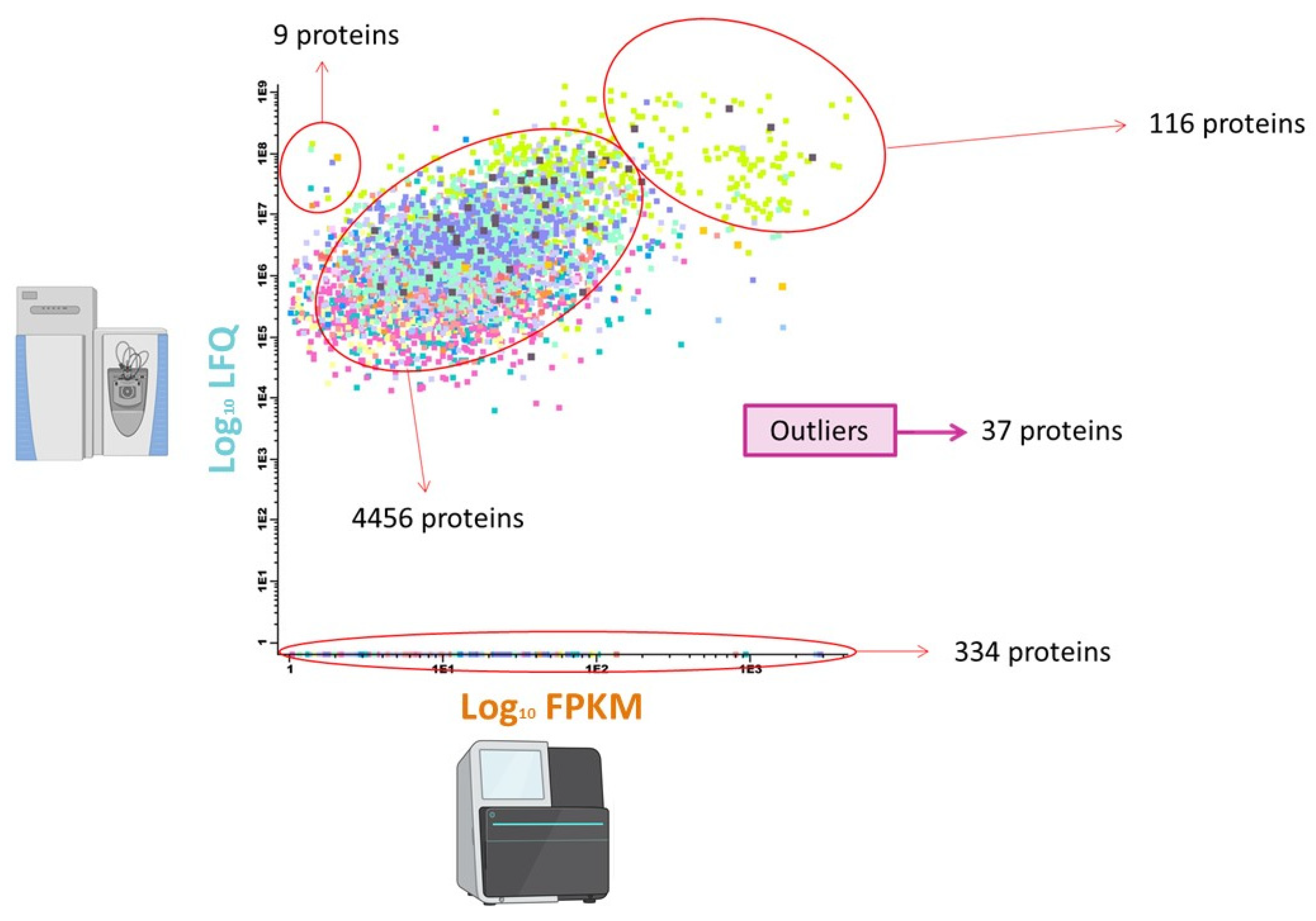 Biomolecules 11 01776 g007