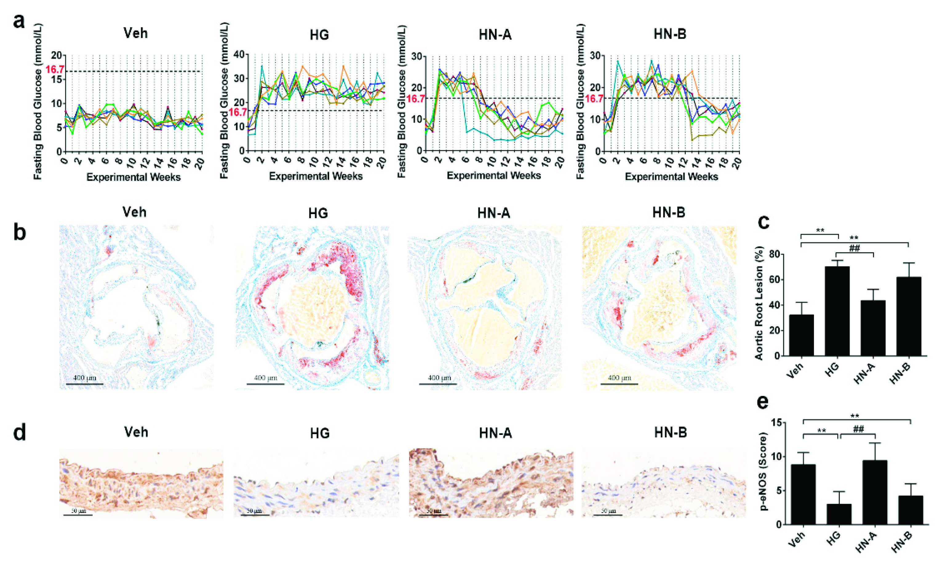 Biomolecules 11 01779 g004