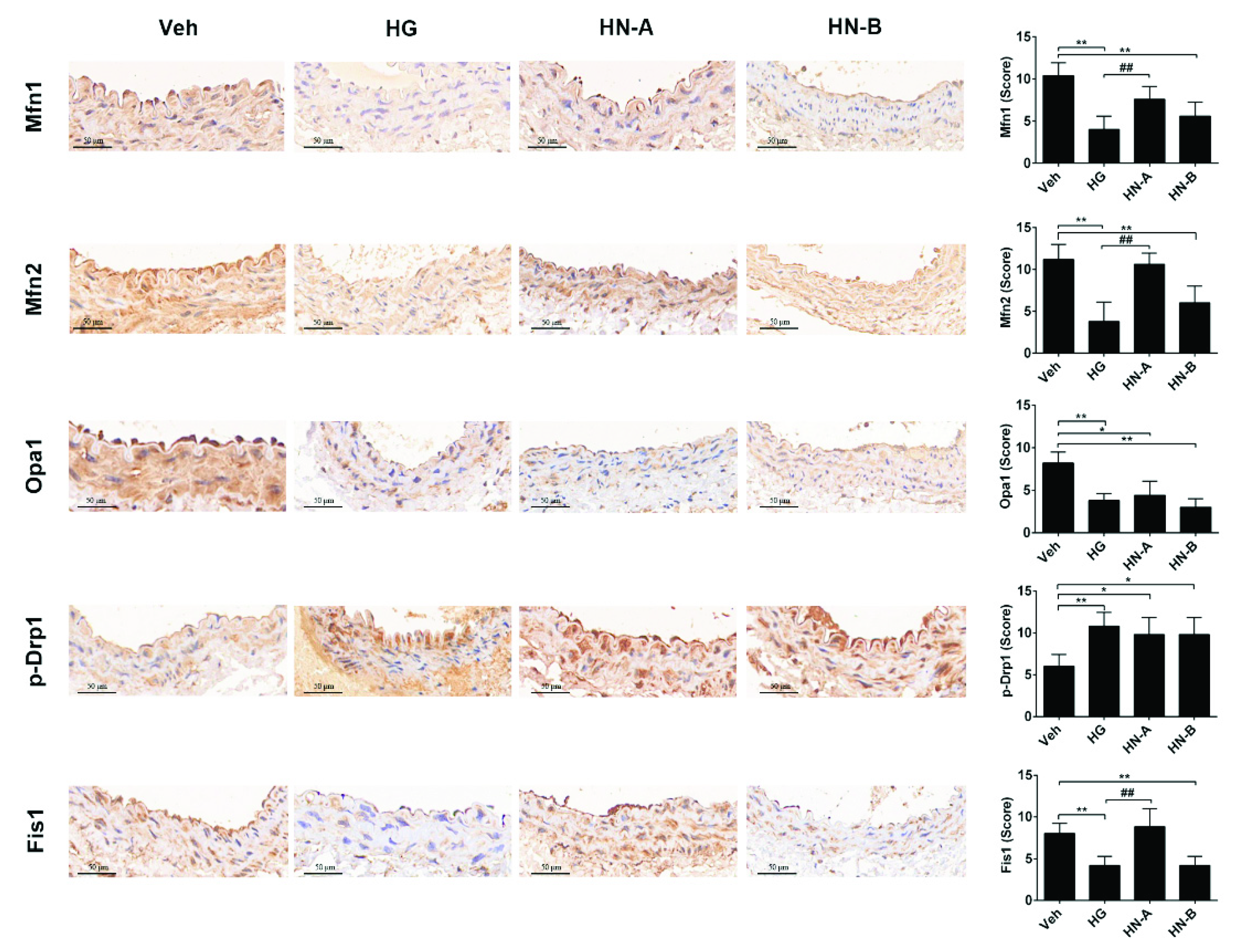 Biomolecules 11 01779 g005