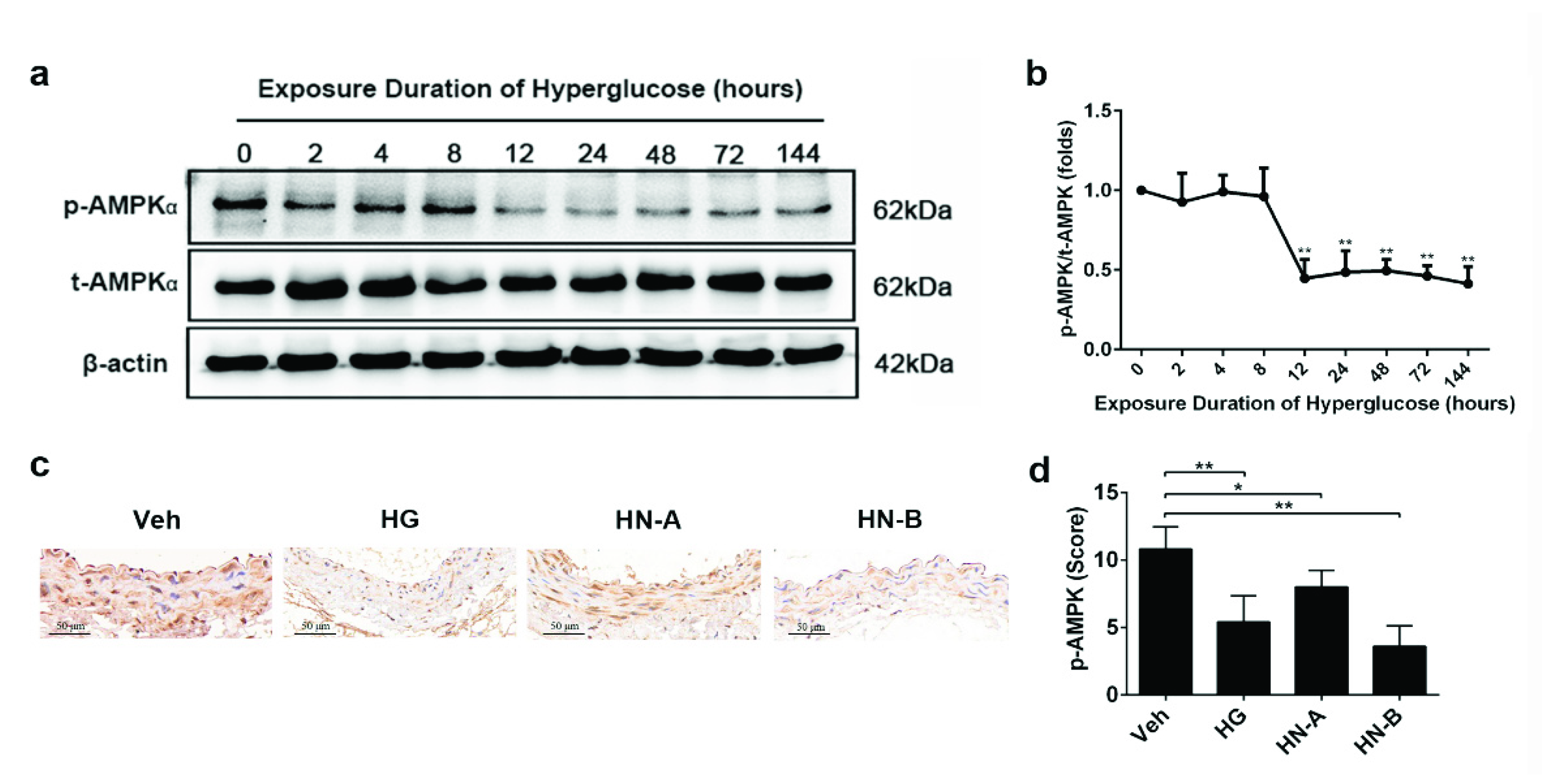 Biomolecules 11 01779 g006