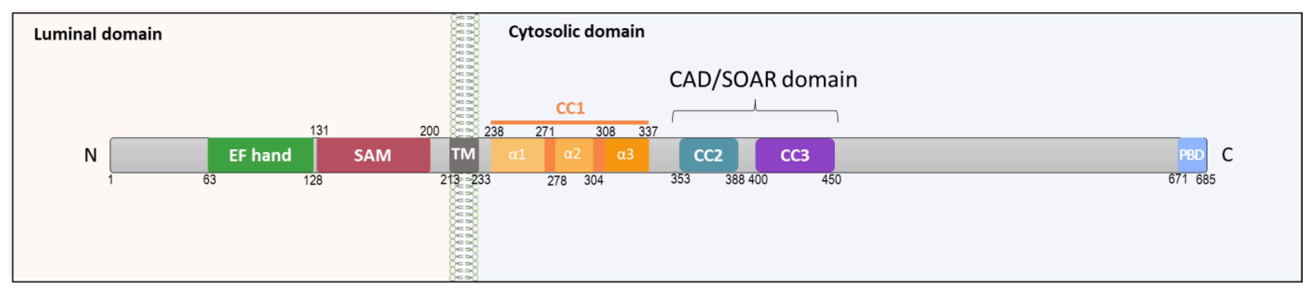 Biomolecules 11 01781 g001