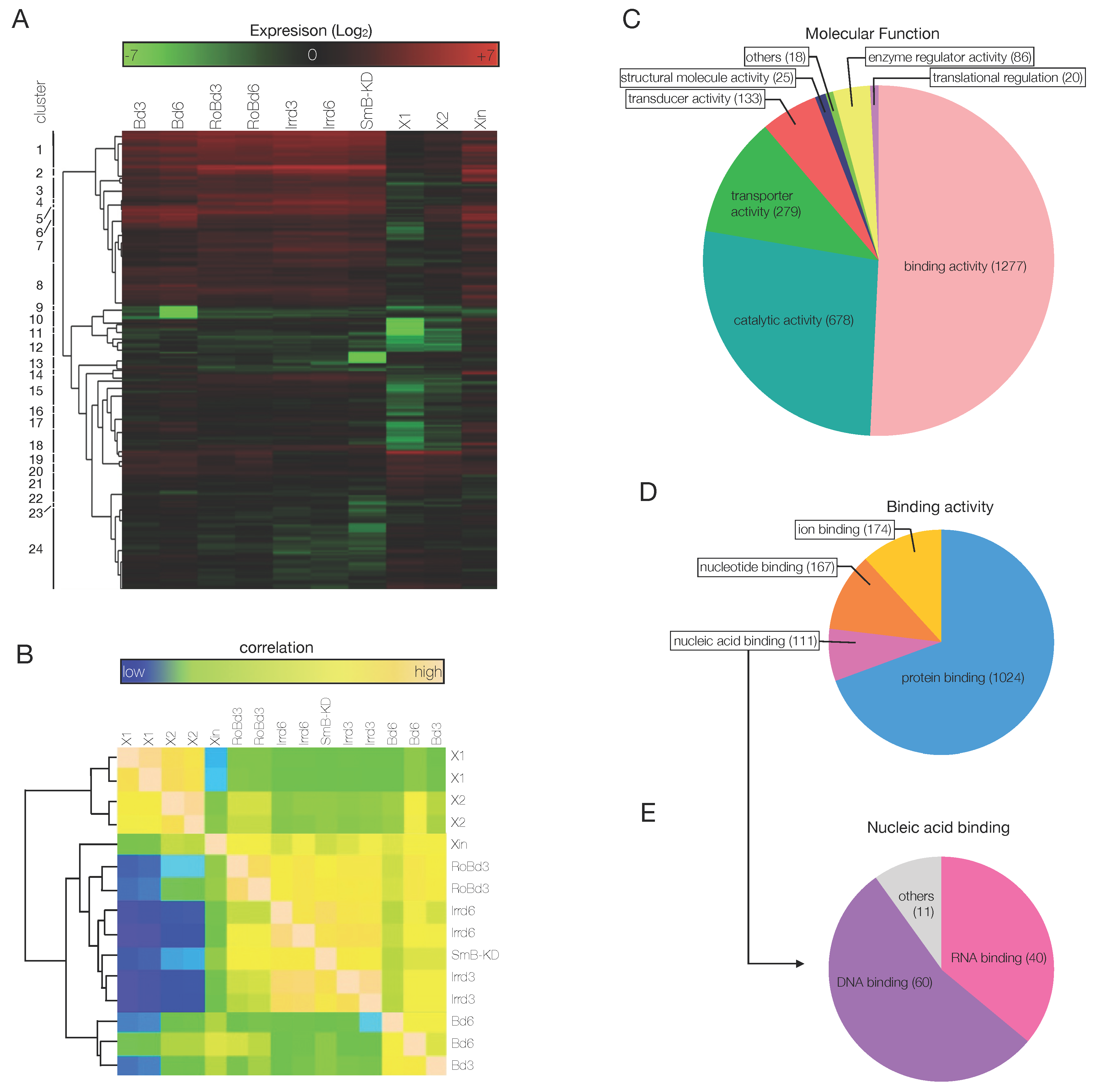 Biomolecules 11 01782 g004 Biomolecules 11 01782 g004