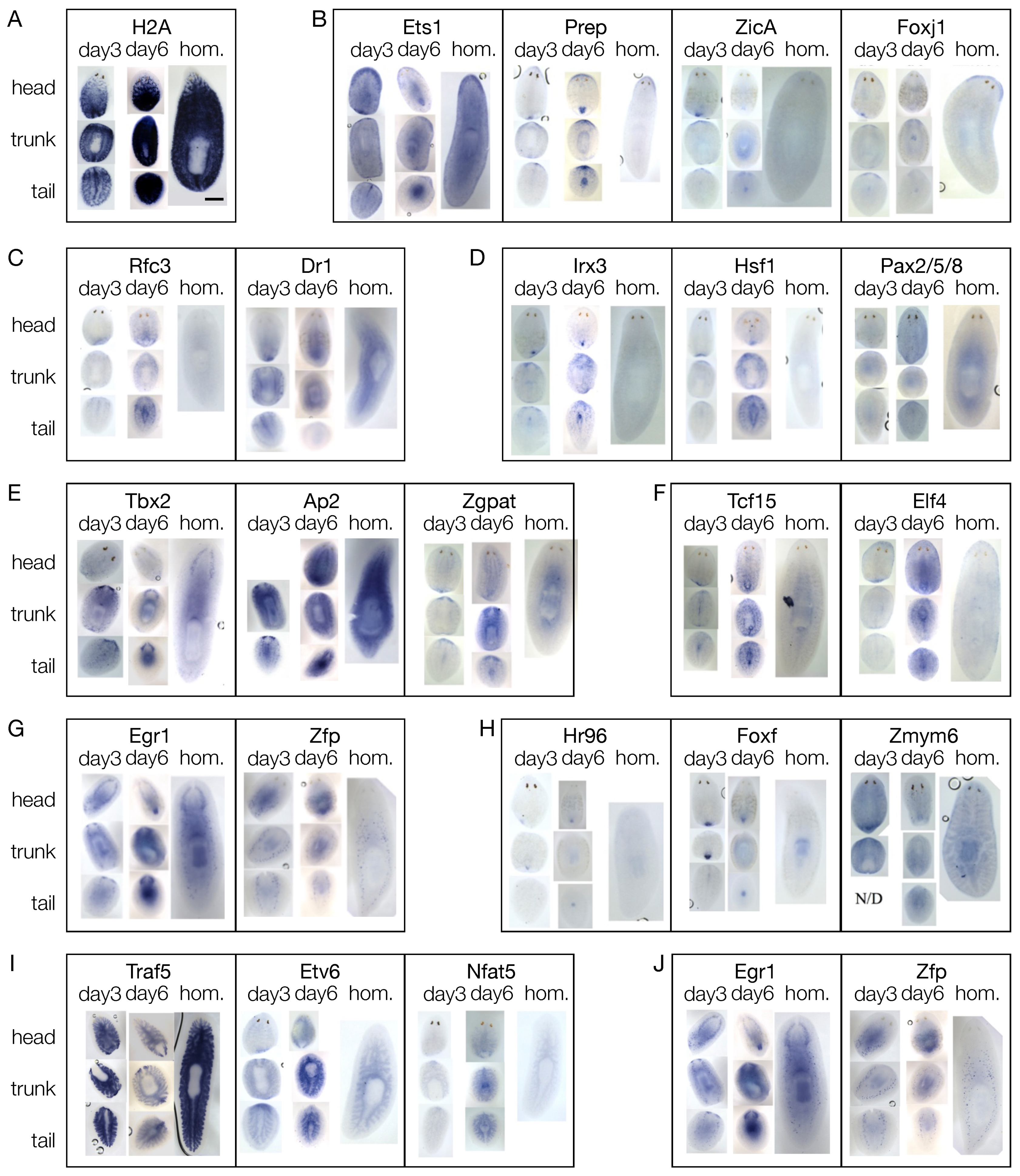 Biomolecules 11 01782 g005 Biomolecules 11 01782 g005