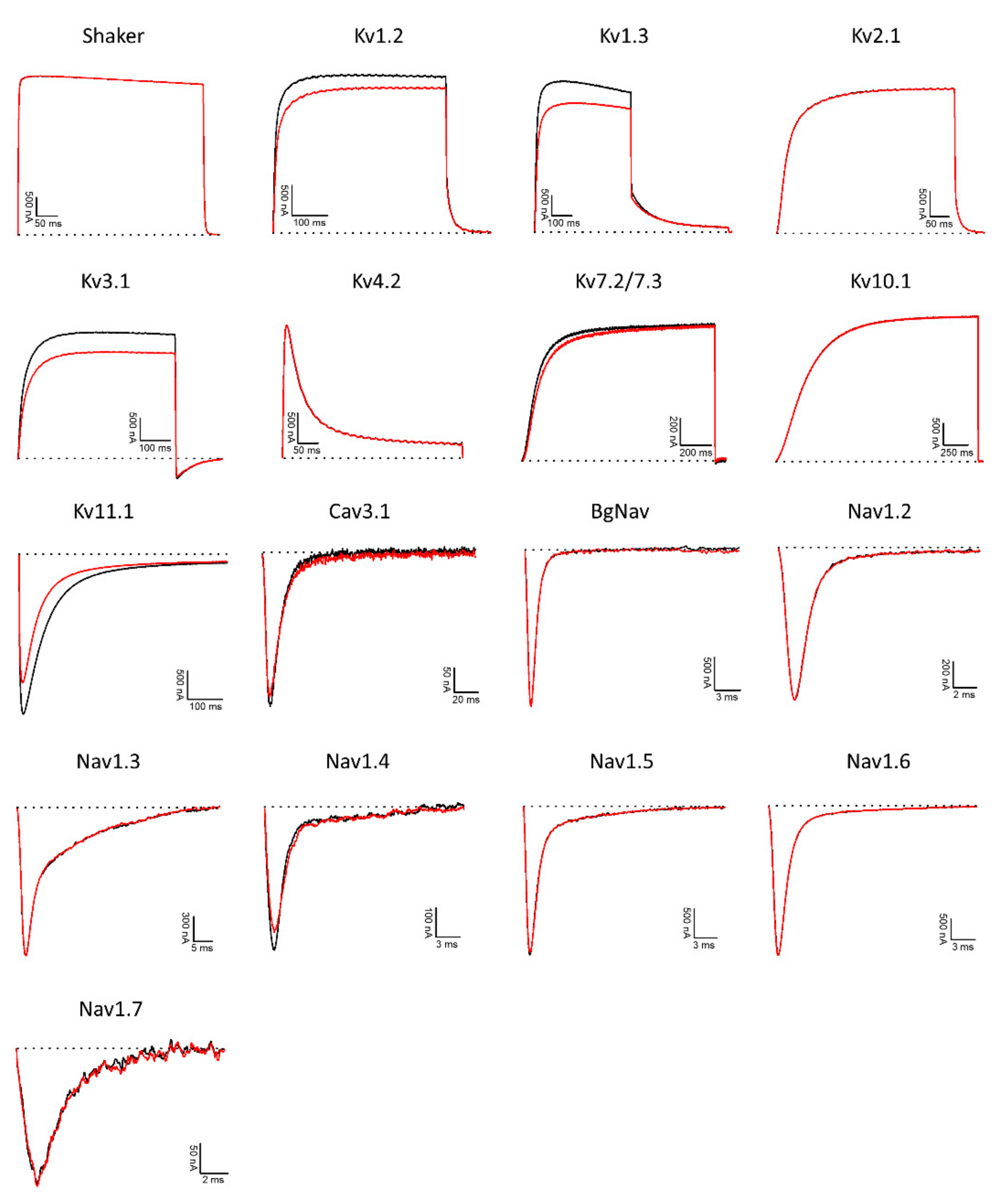 Biomolecules 11 01785 g006