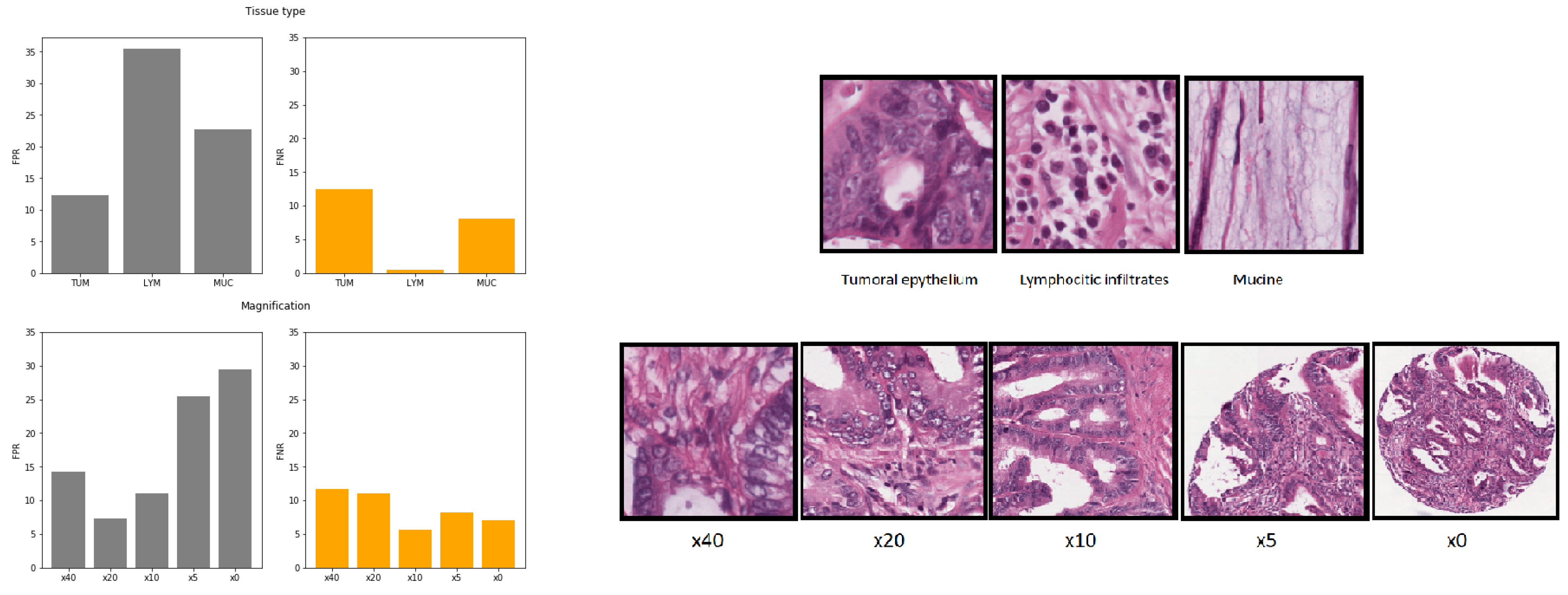 Biomolecules 11 01786 g007 550