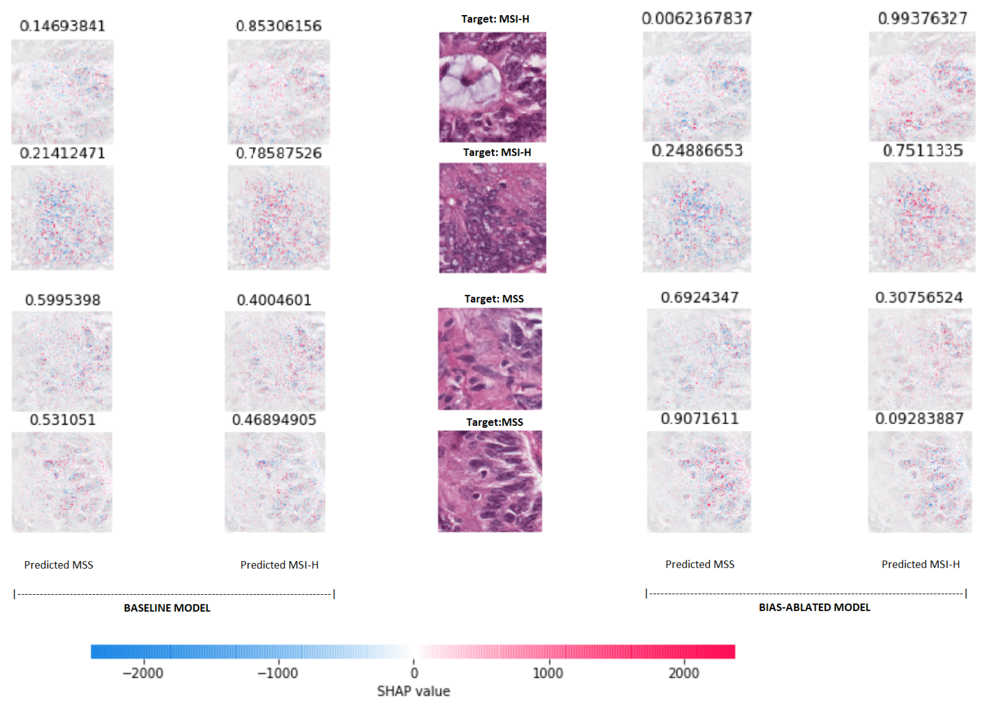 Biomolecules 11 01786 g008 550
