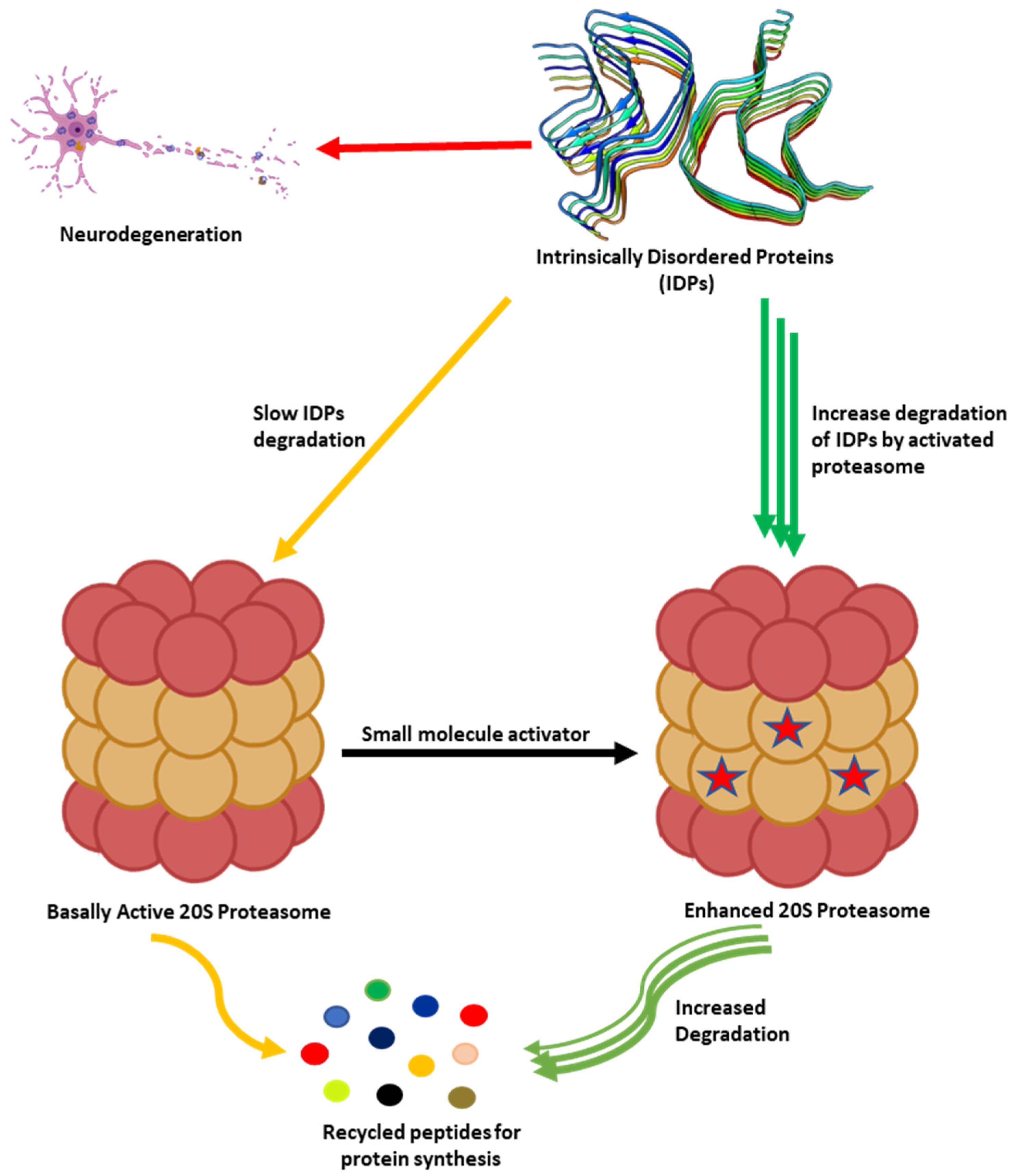Biomolecules 11 01789 g002 550