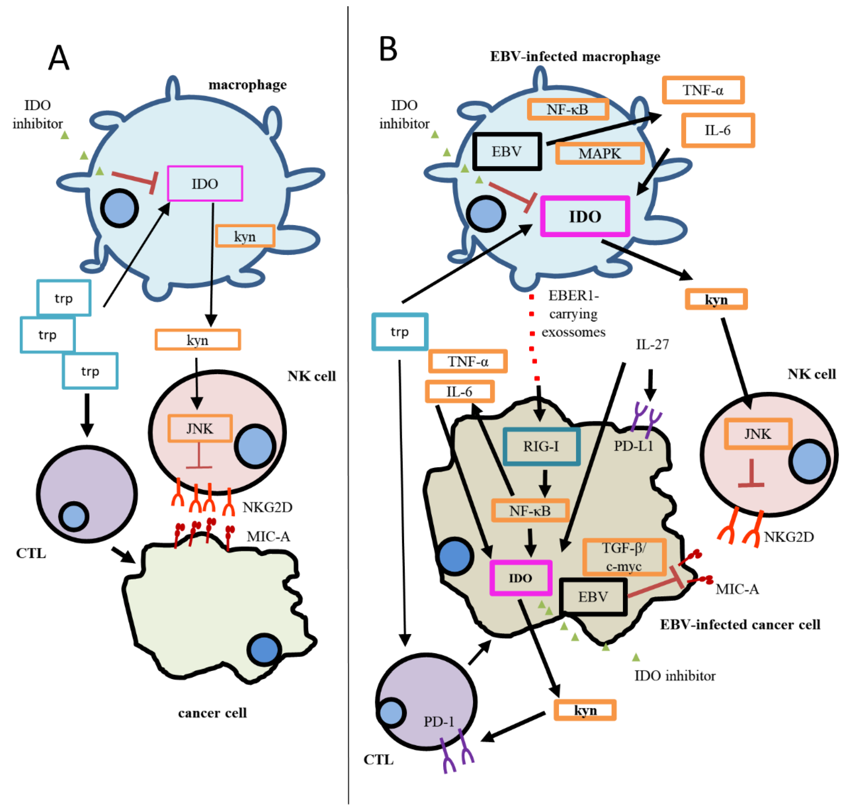 Biomolecules 11 01792 g001 550