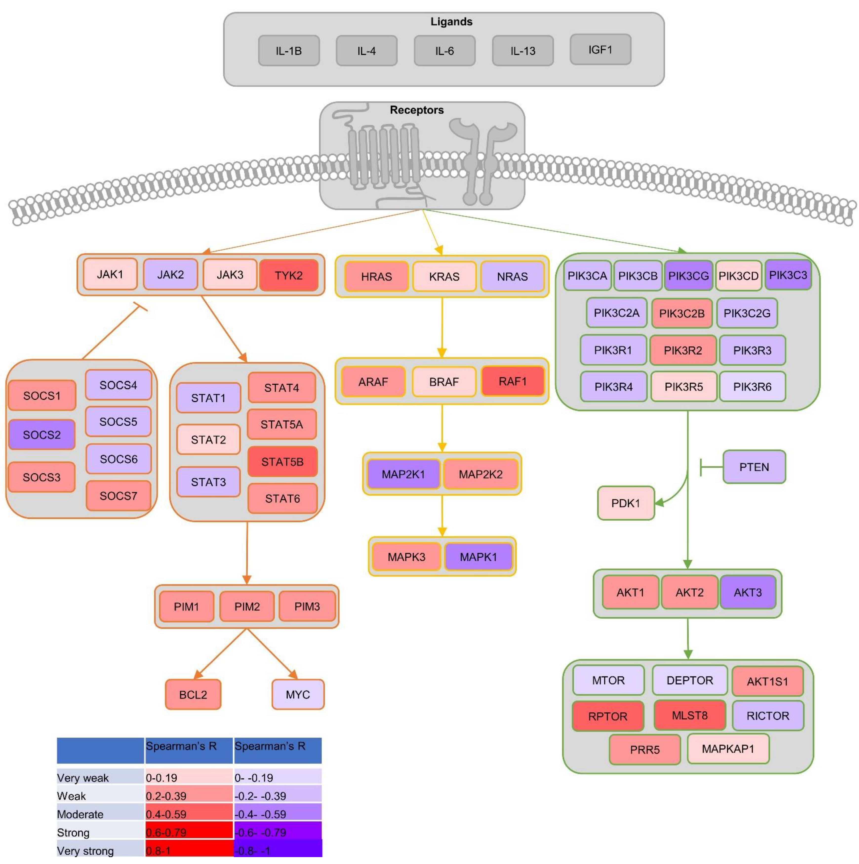 Biomolecules 11 01794 g005